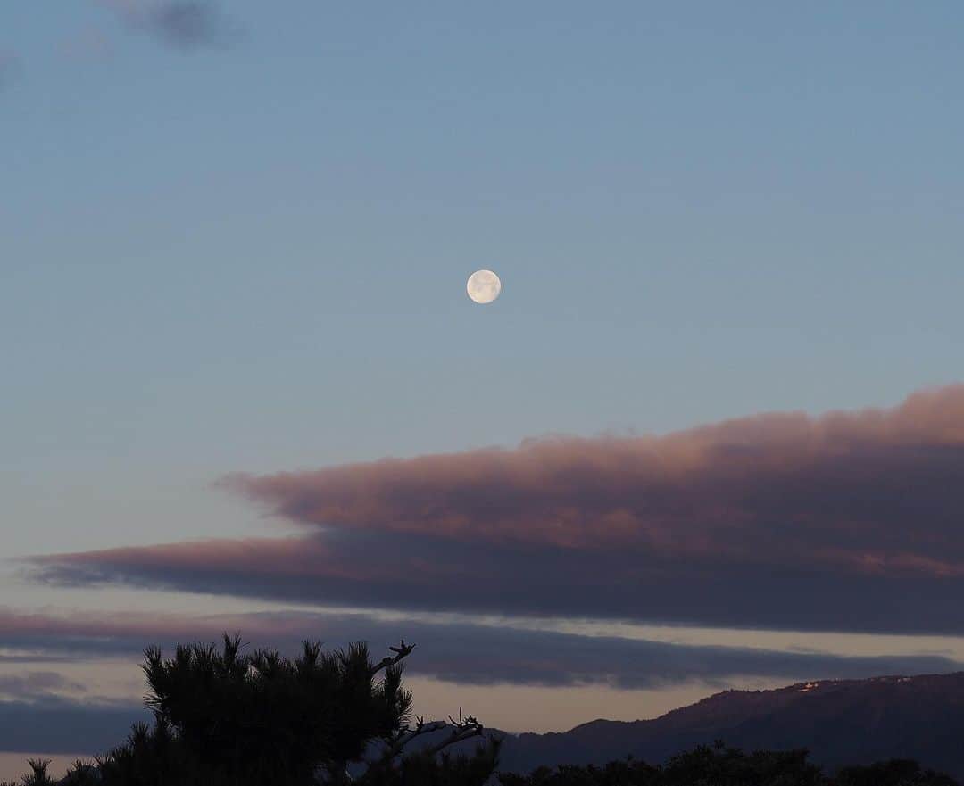 Sora Momoさんのインスタグラム写真 - (Sora MomoInstagram)「今朝のお月さま ☺︎ 朝焼けの雲とお月さまが綺麗でした 昨日満月だったのにどうして写真撮らなかったんだろう🤔 って考えたら昨日の朝は突風吹いてたんだった😅 ちょっぴり欠けた月もいいもんだ なんて ☺︎ #朝の月が綺麗 #満月の次の日の月#そらももの空」1月30日 11時35分 - teratera_sorapu_
