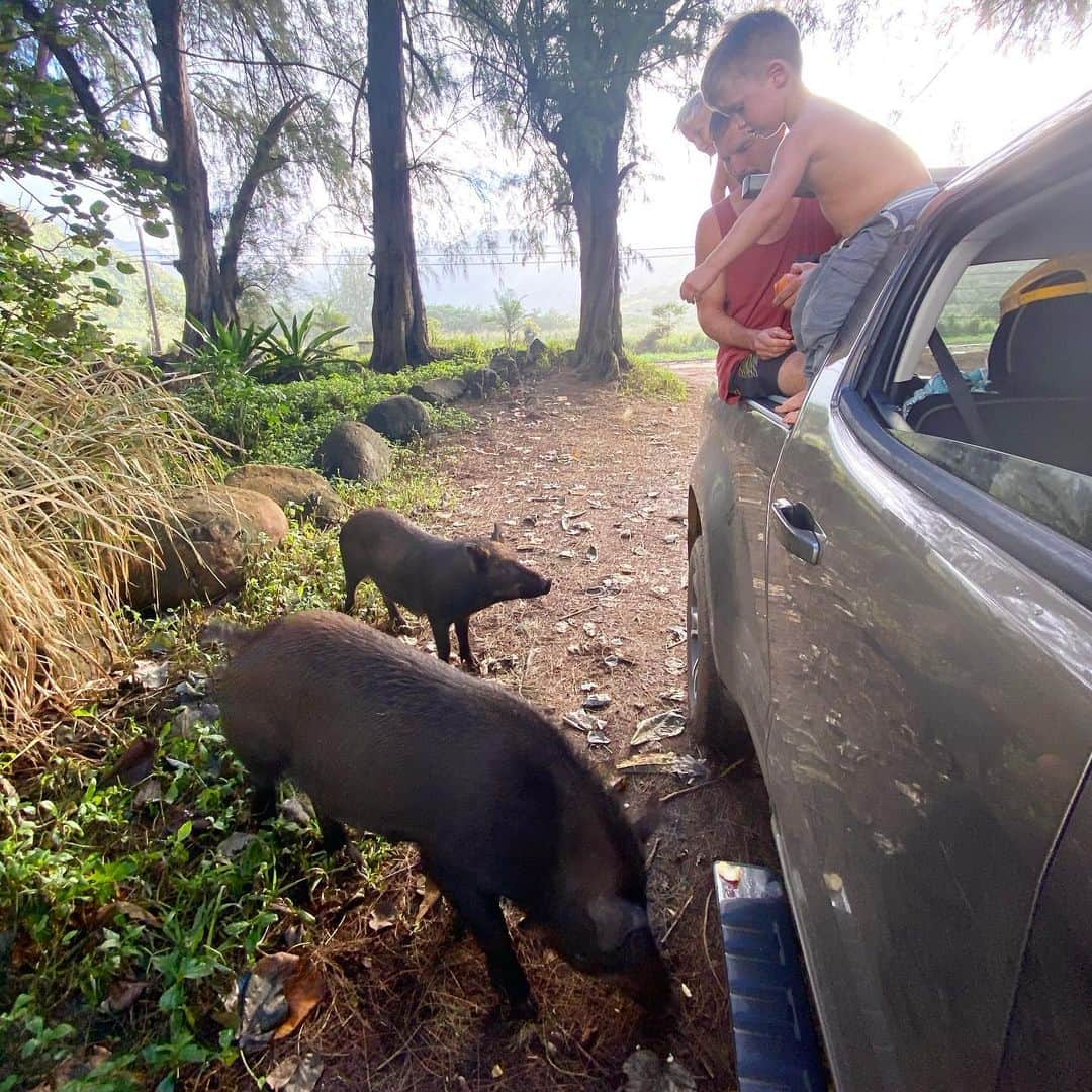 Bethany Hamiltonのインスタグラム：「Family fun with the boars 🐗❤️」