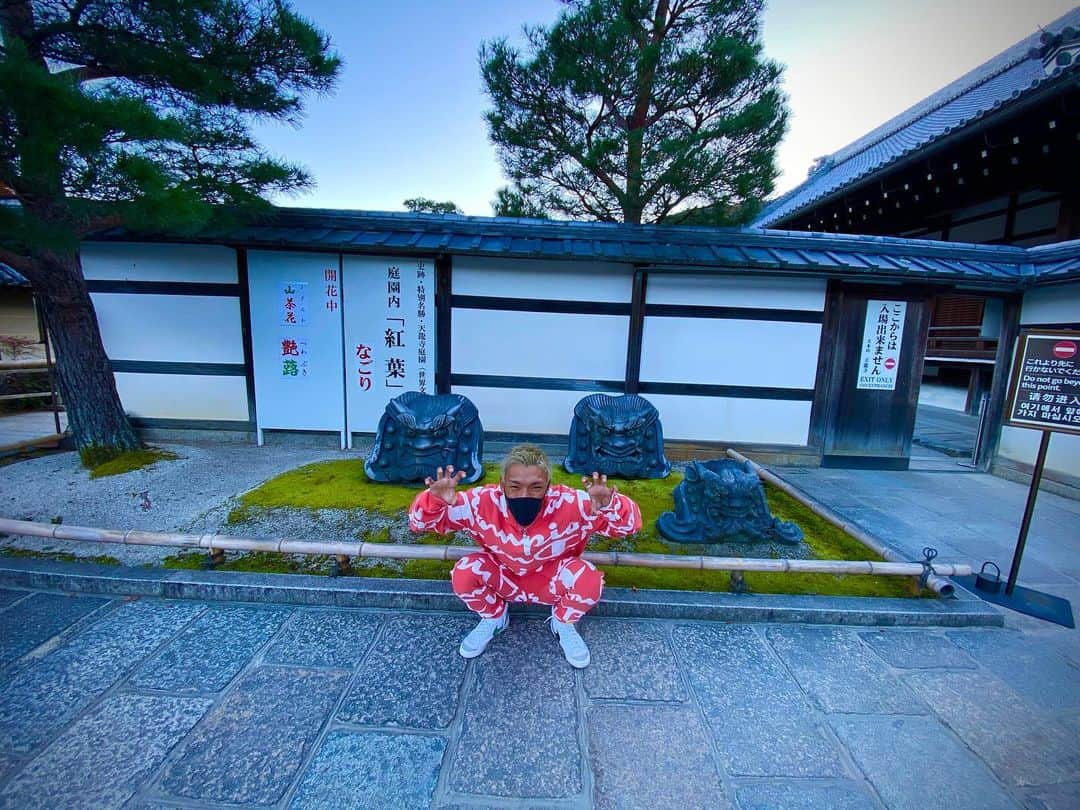 亀田京之介のインスタグラム：「🐲🐲🐲」