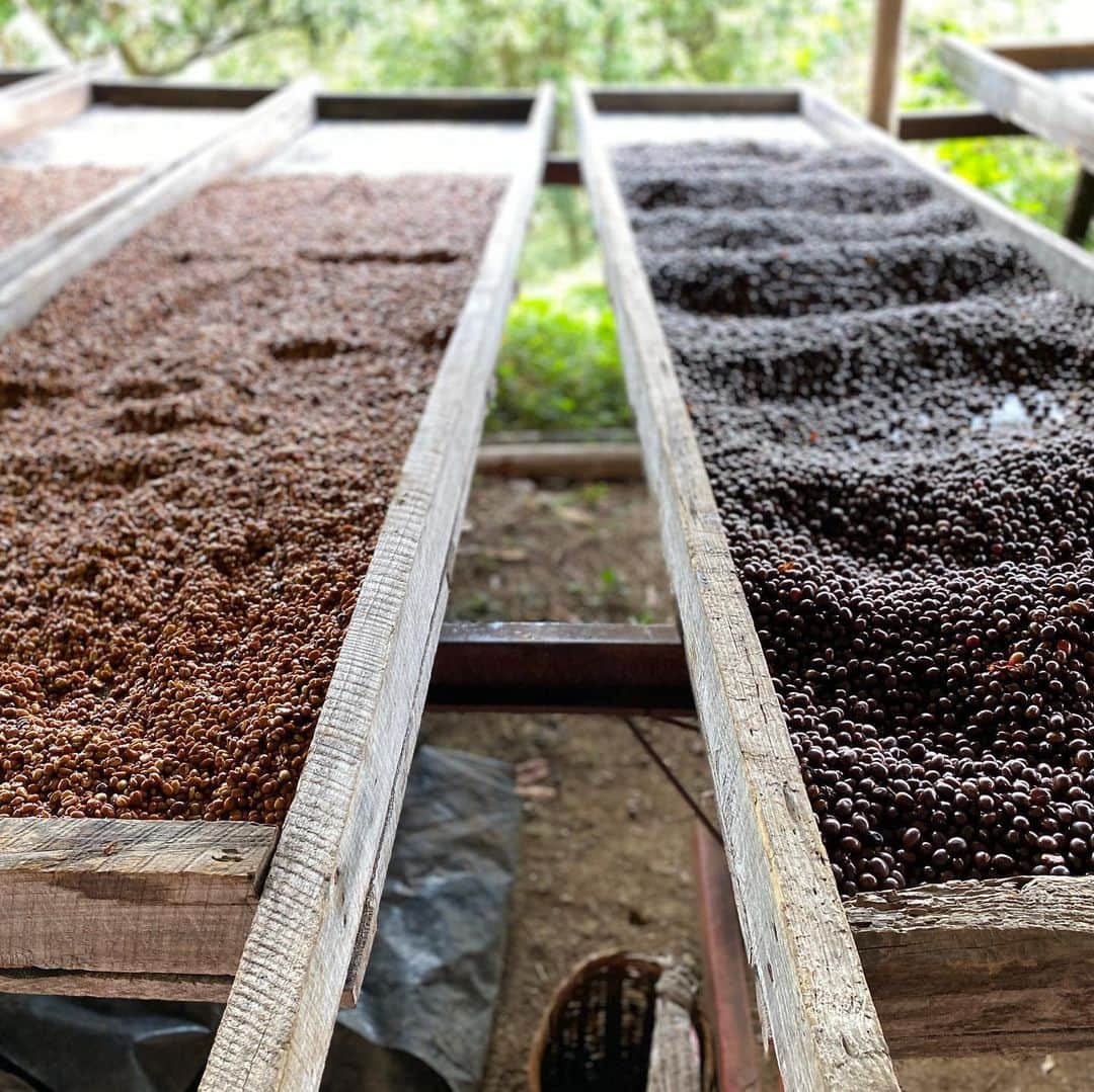 Mel Coffeeのグルメインスタ