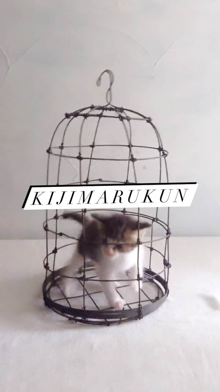 樋口正樹のインスタグラム