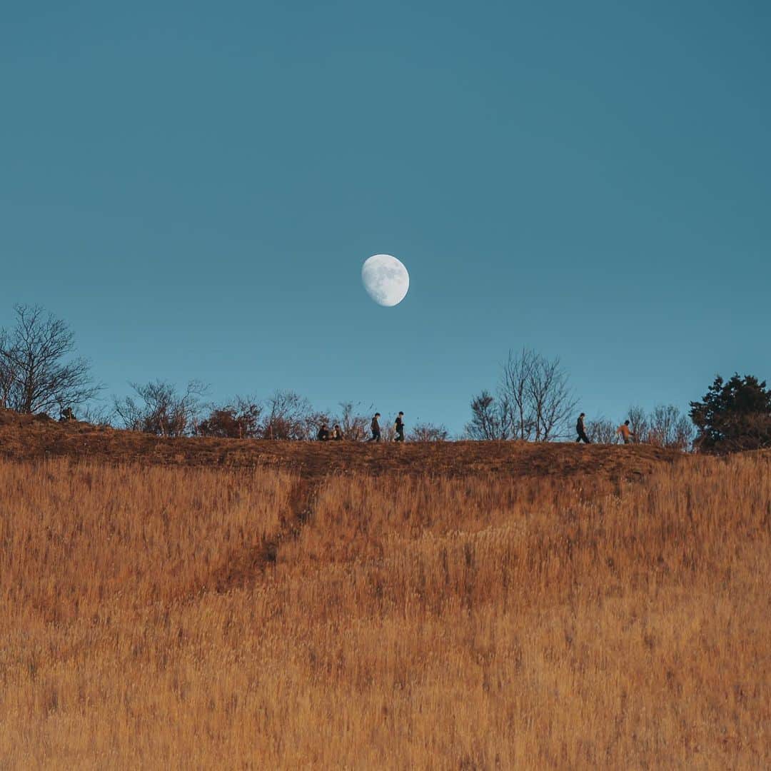 wacameraのインスタグラム：「🌖🚶‍♀️」