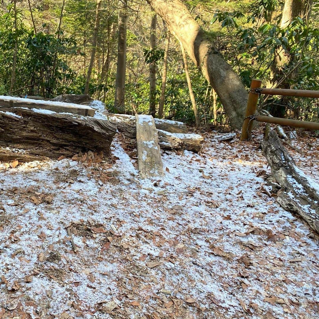 宋美玄さんのインスタグラム写真 - (宋美玄Instagram)「お天気がいいので高尾山へ。稲荷山コースで登りましたが、5歳児でも無理なく登れました。本当はスキレットを持って行ってスモアでも作りたかったですが、重いのでまた今度🍁 #高尾山 #稲荷山コース #霜柱」1月30日 14時33分 - mihyonsongkobe