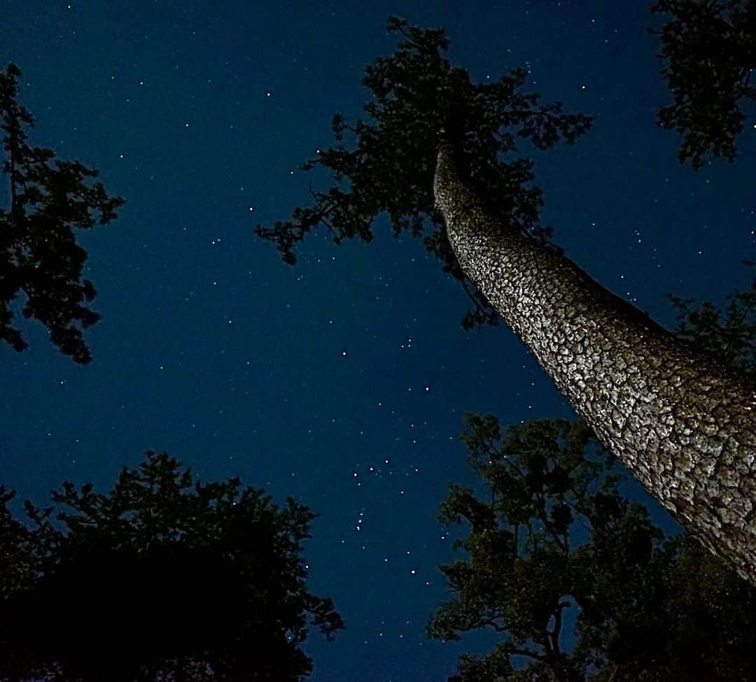 池内万作のインスタグラム：「昨日奥さんと撮りに行った星空。 夜はだいたい家にいてドラマとか観てるから、屋外で活動するのはかなり新鮮。 なかなか楽しいっすな、こういうのも♪ #イケウチ星空撮影隊」