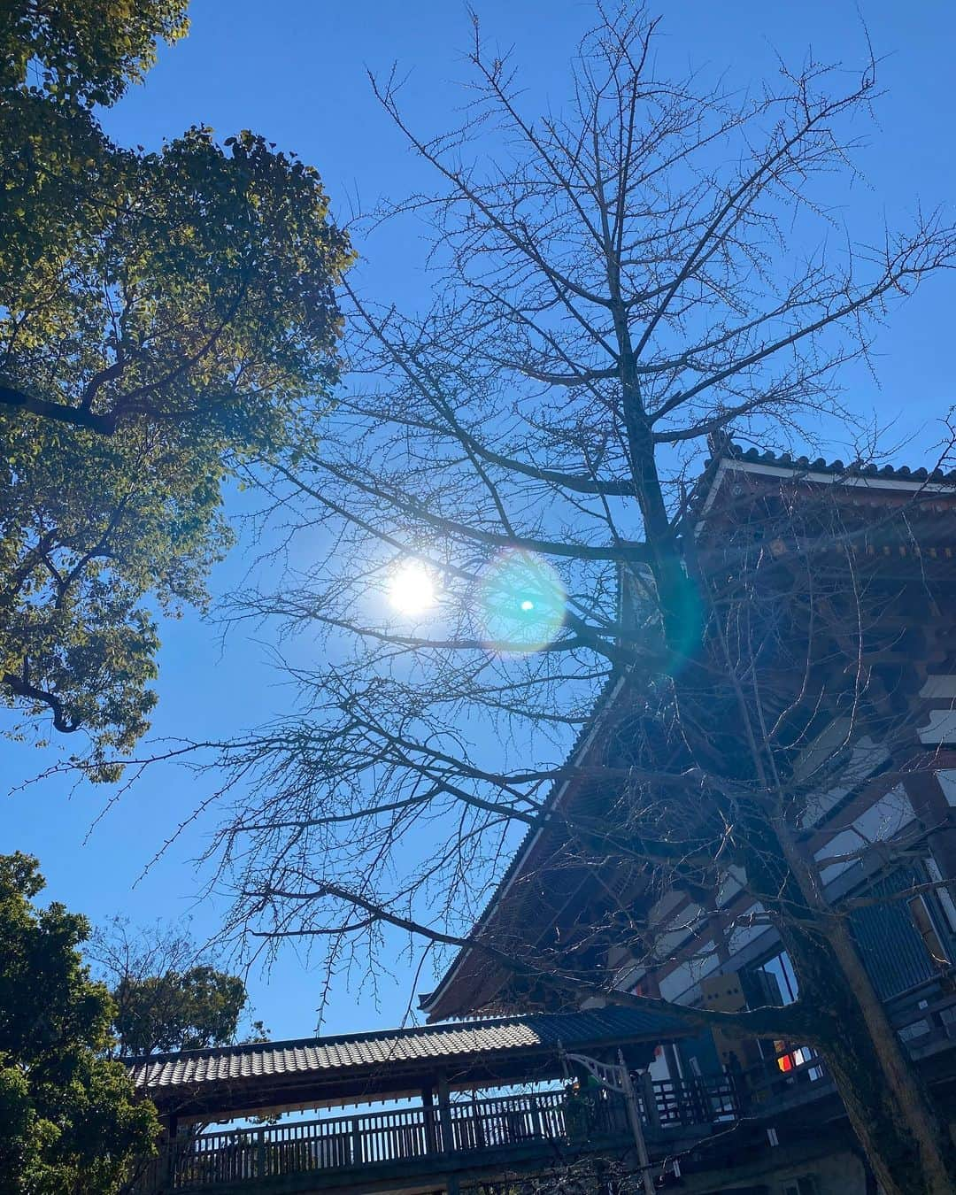 一木美里さんのインスタグラム写真 - (一木美里Instagram)「🌸⛩❤️  #厄祓い#本厄#お参り ♡ #sakura#cherryblossom」1月30日 15時16分 - misato_ichiki