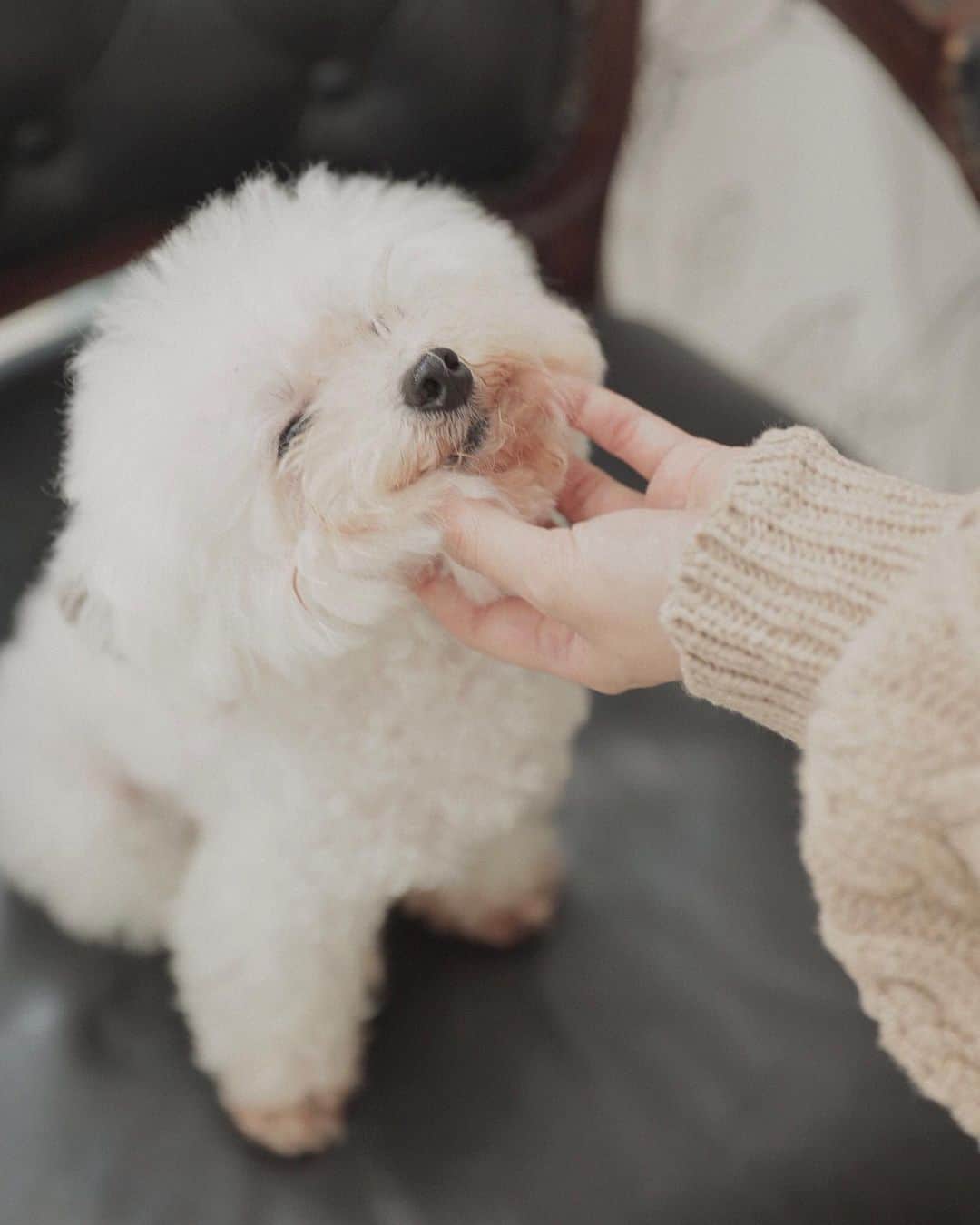 謝琦琦（Kiki）のインスタグラム：「已療癒我12年」