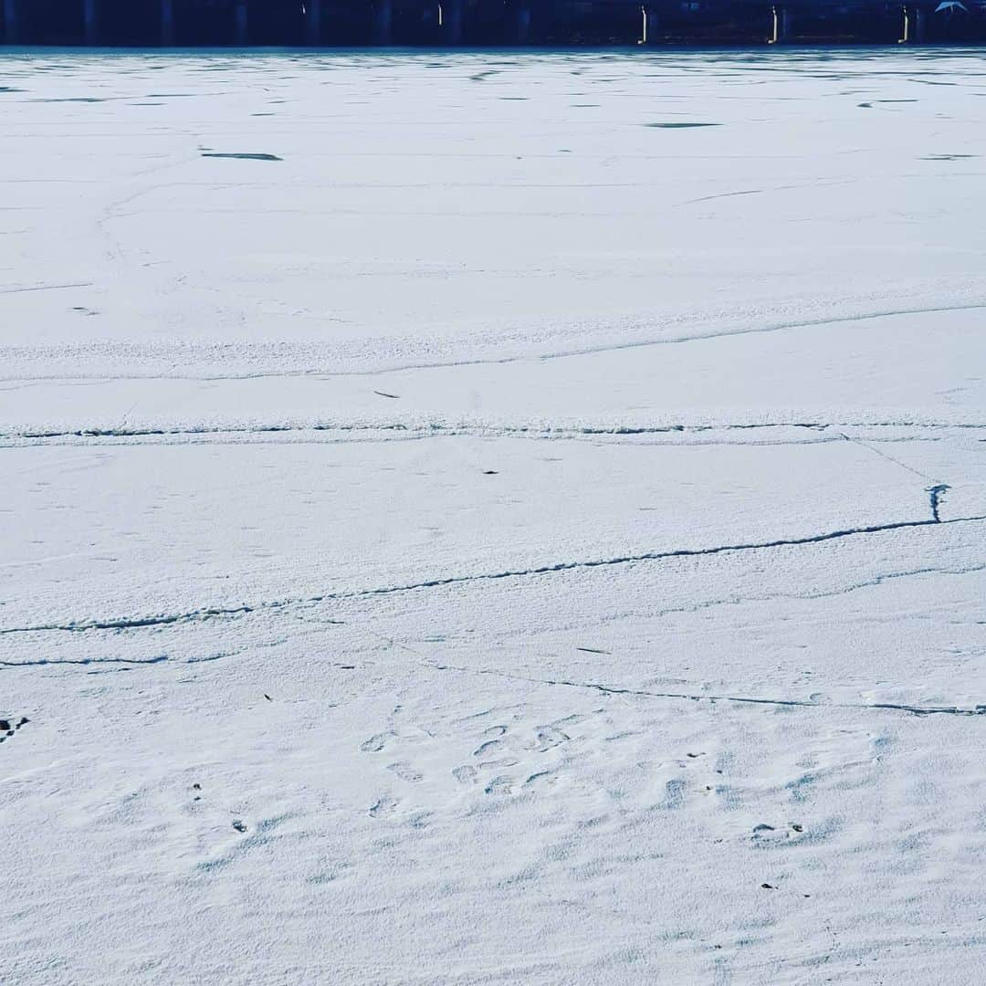 ハン・ジョンスさんのインスタグラム写真 - (ハン・ジョンスInstagram)「우리동네 한강은 눈밭. 걸어가고싶다... 빠지겠지? ㅎㅎㅎ #한강 #아직 #눈밭」1月30日 16時12分 - hanjungsoo