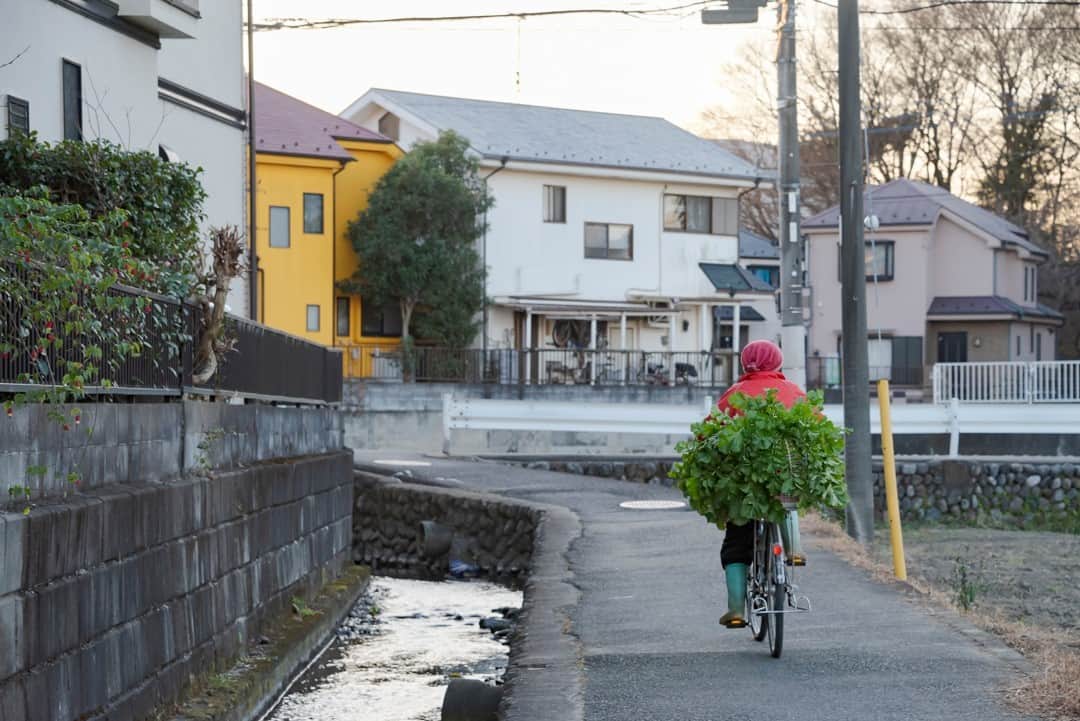 東京都庁広報課のインスタグラム