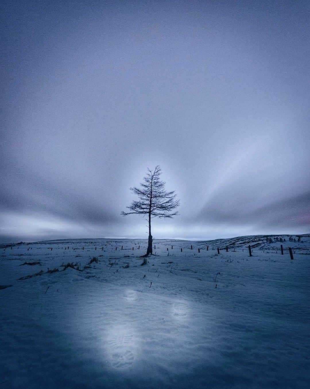 ?長野県 観光 公式インスタグラム さんのインスタグラム写真 - (?長野県 観光 公式インスタグラム Instagram)「// Photo by @sakaki0325 ﻿ Utsukushigahara in Winter (Matsumoto City, Ueda City, Nagawa Town)  Utsukushigahara stands at an altitude of 2,000 meters high, and during winter it is covered in a pristine carpet of white.   Surrounded by this winter scenery and close enough to the sky to touch the clouds, you’ll feel like you’ve been transported into another world.  *The Venus Line, which leads to Utsukushigahara, is completely closed for winter, so use the Prefectural Utsukushigahara Wada route if you plan to drive there. The roads may have accumulated snow or ice, so use studless tires and/or tire chains when visiting.  *Please do not park your vehicle in or enter non-designated areas.   ＝＝＝＝＝＝＝＝＝﻿ ﻿ 白銀の世界 「美ヶ原高原」 ＠松本市、上田市、長和町  標高2000mにある「美ヶ原高原」 冬季はあたり一面白銀の世界が広がり この上ない絶景が広がっています✨  手が届きそうなほど空や雲が近く まるで異世界に飛び込んだような 体験ができますよ🍃  ＊） 美ヶ原高原へ向かうビーナスラインは全面通行止めとなっておりますので、県道美ヶ原和田線を使用してください。 美ヶ原高原へ向かう道路は積雪や凍結しています。スタッドレスタイヤを装着し、タイヤチェーンを携行してください。 ＊） 決められた場所以外での駐車や立ち入りはご遠慮ください。  ＿＿＿＿＿＿＿＿＿　﻿ ﻿ Location / Matsumoto City, Ueda City, Nagawa Town, Nagano , Japan ﻿ ﻿ #おうちでながの﻿ #長野のいいところ ﻿ #美ヶ原高原 #松本市 #上田市 #長和町 ＿＿＿＿＿＿＿＿＿ ﻿ ﻿ 📸インスタアワード作品募集中⛄️  #長野の車窓から #長野の雪遊び 撮影場所(長野県内に限ります)  をキャプションに入れて 応募期間（12/28～2/28﻿）に投稿してください。 優秀作品に選ばれると 長野県特産品セットをプレゼント🎁  詳しくはプロフィールのリンクからご覧ください﻿。」1月30日 17時00分 - nagano_japan