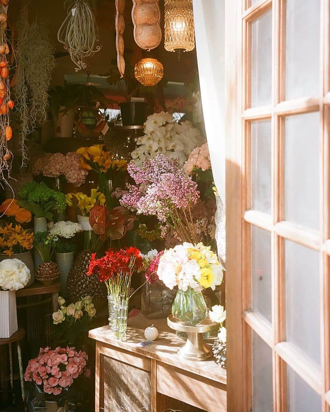 芦田ユリナさんのインスタグラム写真 - (芦田ユリナInstagram)「💐@yulina_creates 🎞  • • •  #ektar100 #35mmphotography #tokyostreet #stroll  #filmphotography #filmisnotdead #35mmphotography #canonphotography #shootfilmunder1000 #forevermagazine #magazine35mm #flowershop #花のある暮らし #お花好きな人と繋がりたい」1月30日 17時02分 - elisyulina