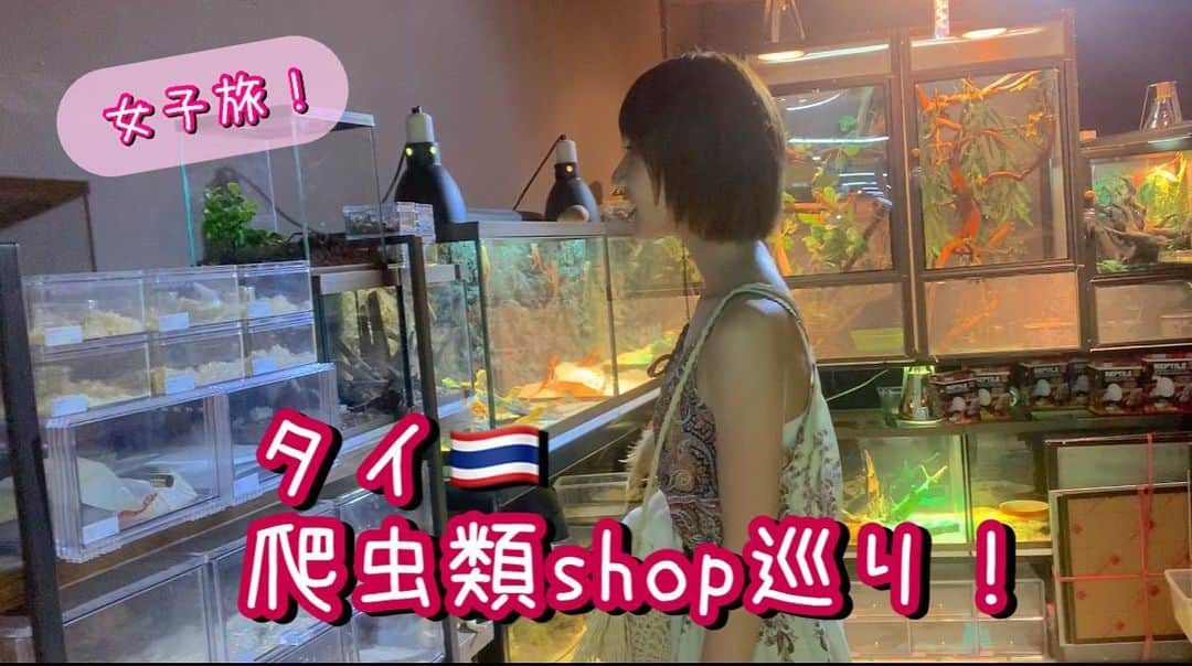 高松雪乃のインスタグラム：「2019年の末期に行った、女子旅inタイの動画をUPしました👐🏻  YouTube「ゆきのんちゃんねる。」 タイで爬虫類shop巡り！🇹🇭 https://youtu.be/dL0DIq70cNM  プロフィールのURLから飛べます✈︎ @yukinotakamatsu   #ゆきのんちゃんねる　#タイ　#女子旅　#爬虫類ショップ巡り　#爬虫」