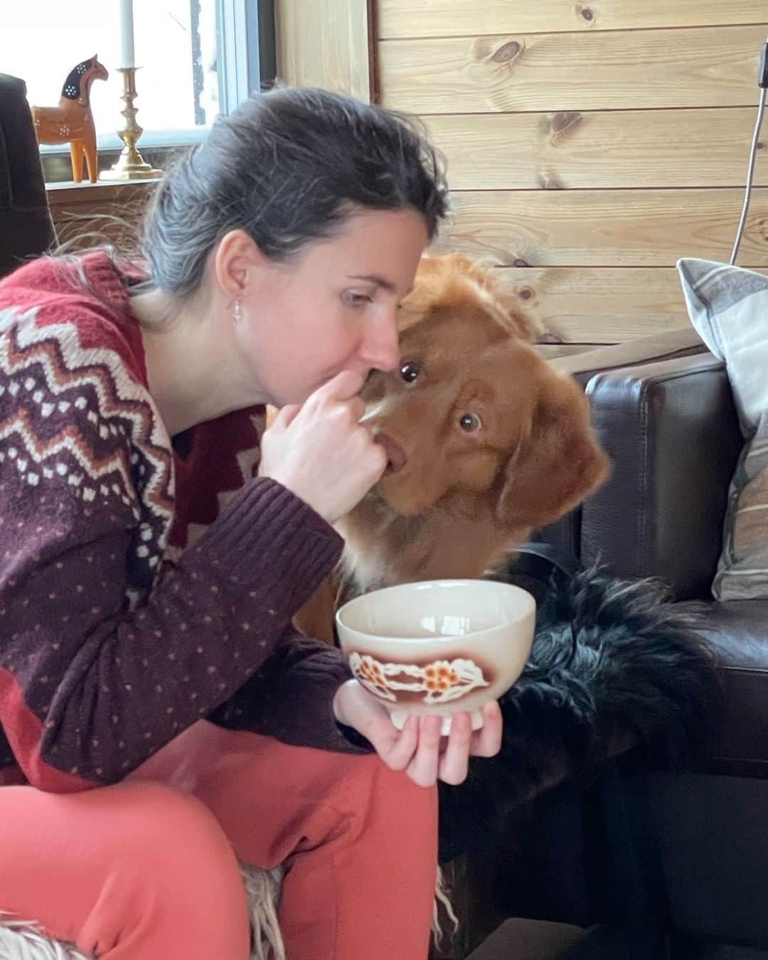 8crapさんのインスタグラム写真 - (8crapInstagram)「You’re putting all that in YOUR mouth?! 😳 - Want to get featured like them? Join “The Barked Club” on FACEBOOK and post something now! 👉 barked.com - 📷 Daria Golubeva  FB - #TheBarkedClub #barked #dog #doggo」1月30日 23時00分 - barked