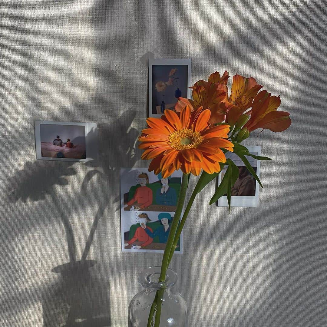 大枝瑞希さんのインスタグラム写真 - (大枝瑞希Instagram)「오렌지 꽃이 좋겠네 🪴」1月30日 17時41分 - __mzkxx__