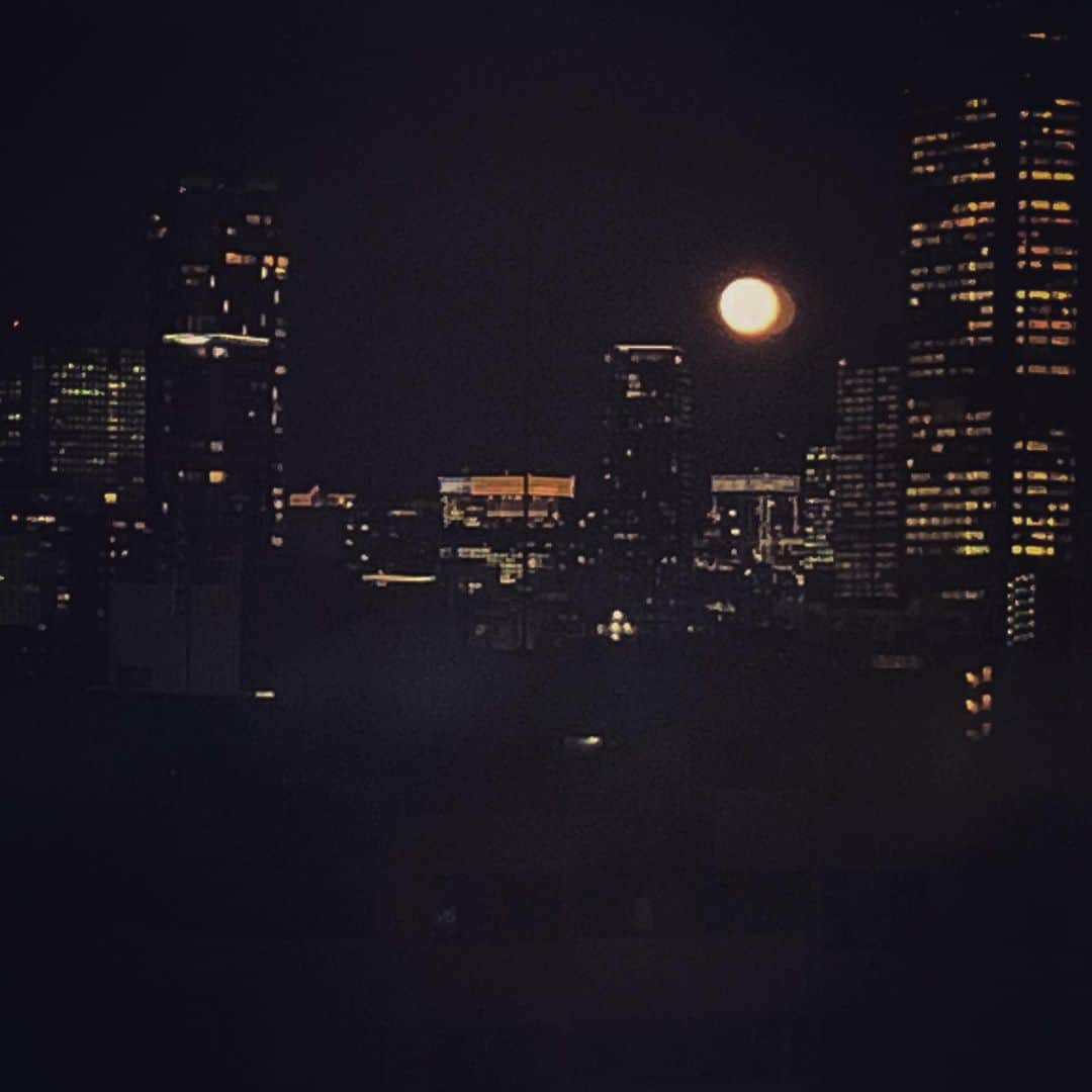 澤田友美さんのインスタグラム写真 - (澤田友美Instagram)「. 大きな🍊色の🌝✨ . . #fullmoon #wolfmoon」1月30日 17時45分 - tomomi__sawada