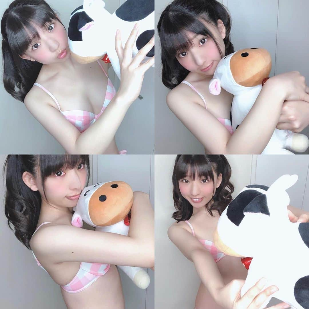 橘あかりさんのインスタグラム写真 - (橘あかりInstagram)「うし🐮さん モーモー💓  お正月に成田ゆめ牧場でかったの😊 丑年だから💓(*´꒳`*) 部屋にぬいぐるみが増えていきます、、、👻  #japnesegirl #japanesemodel  #japan_of_insta #japan_photo #selfie  #グラドル #グラドル自画撮り部 #アイドル #偶像　#泳装　#gravureidol #model #bikini #bikinimodel #bikinigirl #아이돌 #여성돌 #丸顔 #cute #sexy #被写体 #model #モデル #girl #여성돌 #아이돌 #まるがお　#portrait #portraitphotography #hare」1月30日 17時48分 - akari__tachibana