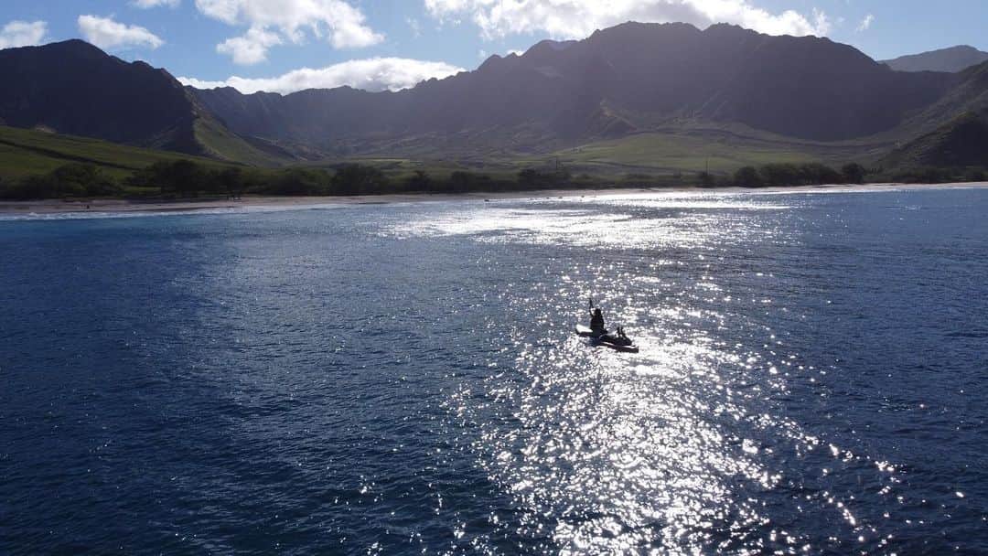 kawaiihawaiitourさんのインスタグラム写真 - (kawaiihawaiitourInstagram)「ナナクリビーチでイルカを見に行った時のドローン撮影です！！ハワイは、いつでも海がキレイで癒されます。カワイイ・ハワイ・ツアーでは、お客様が行きたいところを自由に行けます。本日は、115人のコロナの感染者がでました！ハワイでは、さらに新しい会社から新しいワクチンがでてきそうです。詳しくは、ストーリーをみてください！ --------------------------------------------------------- ❤️Kawaii Hawai'i Tour / カワイイ・ハワイ・ツアー ❤️✨🌈プラン🌈✨ (ハワイ州政府公認会社 PUC 497-C) ✔︎日本人経営 日本人ガイド付きツアーなので安心️🏝✨😎👍🏽 ✔︎あなただけのオリジナルツアーが作れます ✔︎初ハワイ満喫コース、オススメスケジュールご用意しています‼︎ ✔︎ガイドブック派？それともローカル体験派？ ✔︎なんでもご相談下さい 💁🏽‍♂️💁🏽☀️🏝✨😎👍🏽 ✔︎お写真もたくさんお撮りします🤳 ------------------------------------------------------ ✴︎今日の格言✴︎ 朝晩のお勤めを欠かさずにするのは、人間鈴木清一があやまちも多く、悩みも深く、弱さ、もろさ、悲しさがあるがゆえに、祈ってすがっていきたいからです(鈴木清一) ------------------------------------------------------ お客様の笑顔が私達の笑顔をモットーにツアーをさせてもらっています🚙🚖🚘 --------------------------------------------------------  #ハワイ #hawaii #カワイイハワイハワイツアー #ワイキキビーチ #コロナ　#ファインダー越しの私の世界 #カカアコ #ハワイ好き #ハワイライフ #天国の海 #ハワイウェディング #ハワイ行きたい #ハワイツアー #オアフ島　#ホノルル #ハワイチャーターツアー  #ハワイ旅行  #ハワイ女子旅  #ハレイワ 　#フォトジェニック #ハワイ好きな人と繋がりたい #ハワイコロナ　#インスタ映え　  #ハワイ観光 #海  #サップ  #オアフ島 #nanakuli #楽園 　#癒し　#ハワイ生活」1月30日 18時05分 - kawaiihawaiitour