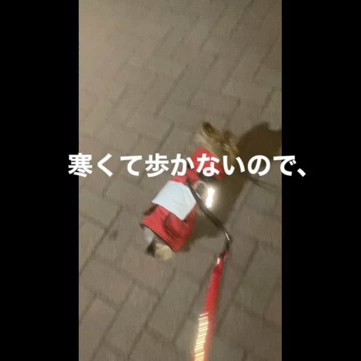 富士川碧砂のインスタグラム