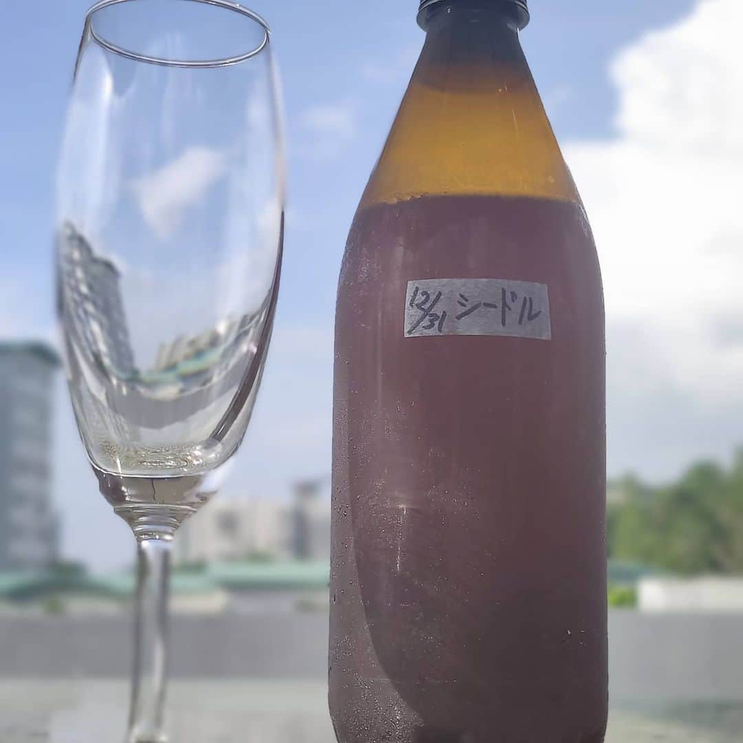 有坂翔太のインスタグラム：「Making sake, something I couldn't do in Japan. Tasting the apple liquor that was made on December 31. This time I mixed in a little blueberry juice and spices, so I like it even more. It tastes so much better than the stuff they sell. I wish it was possible to make sake in Japan, too. 日本じゃ出来なかったお酒作り。 12月31日に仕込んでたリンゴのお酒試飲 今回は少しブルーベリージュースとスパイスも混ぜたので更に好きな味。売っているのより全然美味しい。日本でもお酒作れるようになれば良いのになぁ。。」