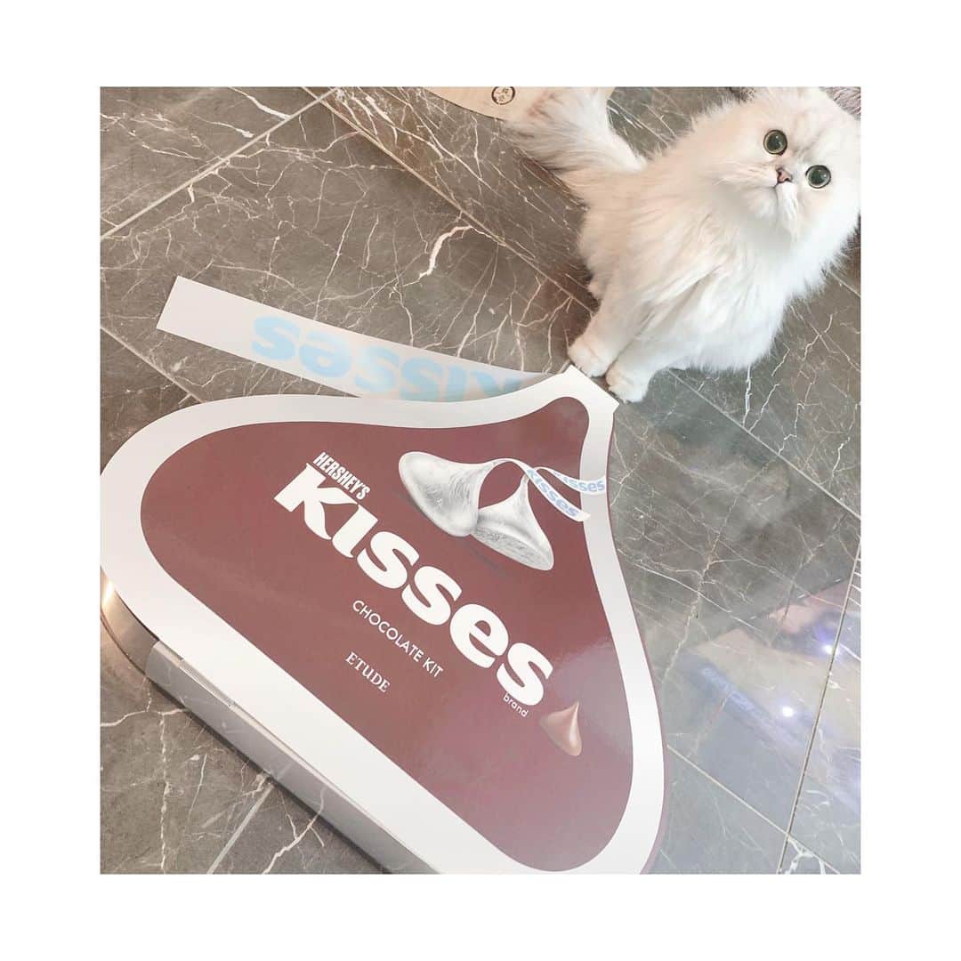 河西美希さんのインスタグラム写真 - (河西美希Instagram)「大きいチョコが届いたー！！と思ったら﻿ 公式では2/1発売のETUDEの新作﻿ Hersheys Kisses Collectionでした🥰﻿ ﻿ ふぉーさんと並んでこの大きさ﻿ かわいい…🥲🍫﻿ ﻿ アイシャドウはどれも使いやすい絶妙カラー﻿ リップはふんわりムースティント💄﻿ ﻿ 使うの楽しみ♡﻿  ETUDEさんありがとうございます❣ ﻿ ﻿ #韓国コスメ #エチュード #ETUDE ﻿ #ETUDEHOUSE #コスメ #新作コスメ﻿ #新作 #バレンタインコスメ  #化粧品﻿ ﻿#チョコレート #ブラウンメイク #ブラウンアイシャドウ  #アイシャドウパレット #アイシャドウ #ティント #コスメレビュー #newコスメ #ポーチ」1月30日 18時29分 - mikipon1111