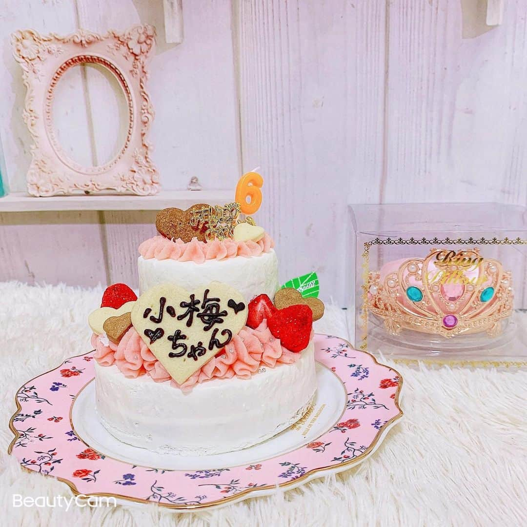 RIKAのインスタグラム：「. . . ６歳の小梅ちゃんのお誕生日 おめでとう🎀🩰💗🎀🩰💗 . ケーキはわんこ用🎂✨ 冷凍して少しずつあげる✨ . . #instalove#instagood#l4l#l4like#l4ls#princess #chihuahua#chihuahualove#chihuahuas#dog #baby#dogstagram#love#happybirthday#1月26日 #誕生日#犬好きさんと繋がりたい#わんこ#🐾#６歳 #ブラックタン#チワワ#小梅#愛犬#可愛い#プリンセス#ディズニー#ステラルー」