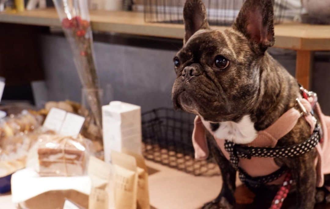 HeyCoffeeのグルメインスタ