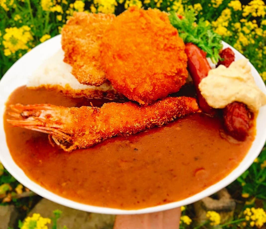 チキン南蛮カレーのルウ王子さんのインスタグラム写真 - (チキン南蛮カレーのルウ王子Instagram)「超ハードだった１月もラストスパート！ たくさんのご来店に心より感謝！  日曜日もてげうまカレーを作りまくルウ！ カレー最高！てげうまルウ！ ★ ★ #チキン南蛮カレー #テイクアウト #都城 #麻婆カレー #カレー倶楽部ルウ #都城テイクアウト #ふるさと納税  #ルウ王子 #フォロバ #宮崎 #幸せ上々みやこのじょう #フォロワー募集 #like4follow  #いいね#福岡 #宮崎ランチ #寺田町 #梅田 #宮崎 #グルメ好きな人と繋がりたい #カレー #南森町 #寺田町駅 #鹿児島 #難波 #都城ランチ #カレーライス」1月30日 20時11分 - currynoprince