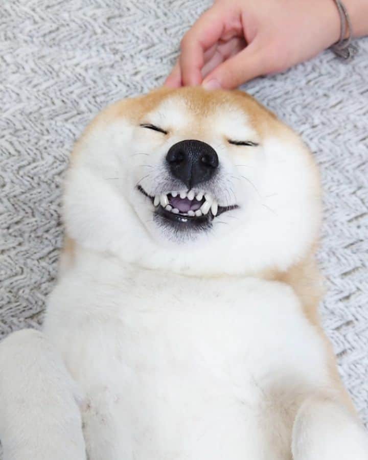 ちゃみのインスタグラム
