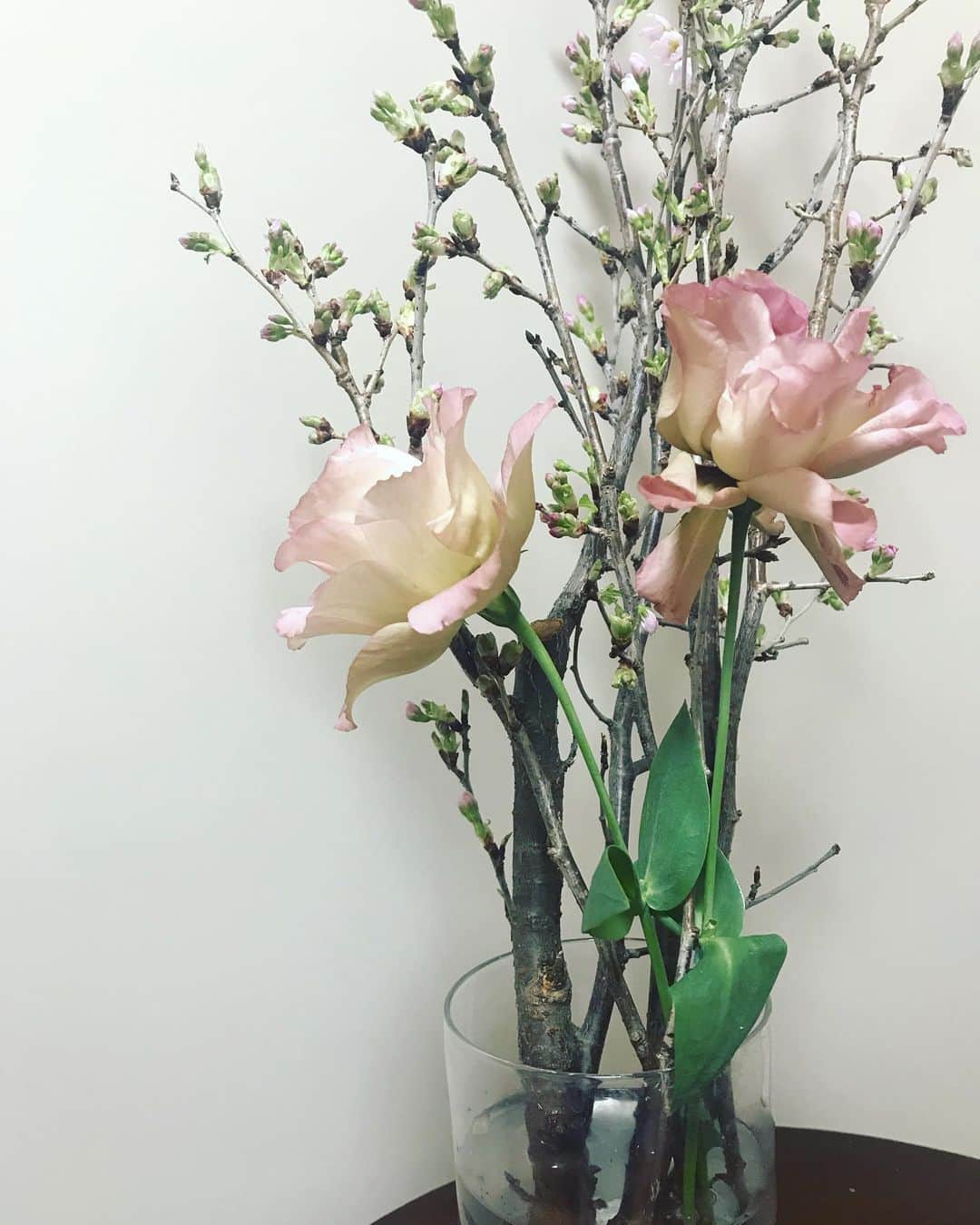 坂詰美紗子のインスタグラム：「トルコキキョウと啓翁桜。 これまでとこれから。 さよならとこんにちは。 花瓶の中で混ざり合う。 混ざり合って、今となる。 今は、常に混ざり合って出来ている。 ・ ・ #flowers #けいおうざくら  #トルコキキョウ #おっと、、また花の写真が多くなってきた」