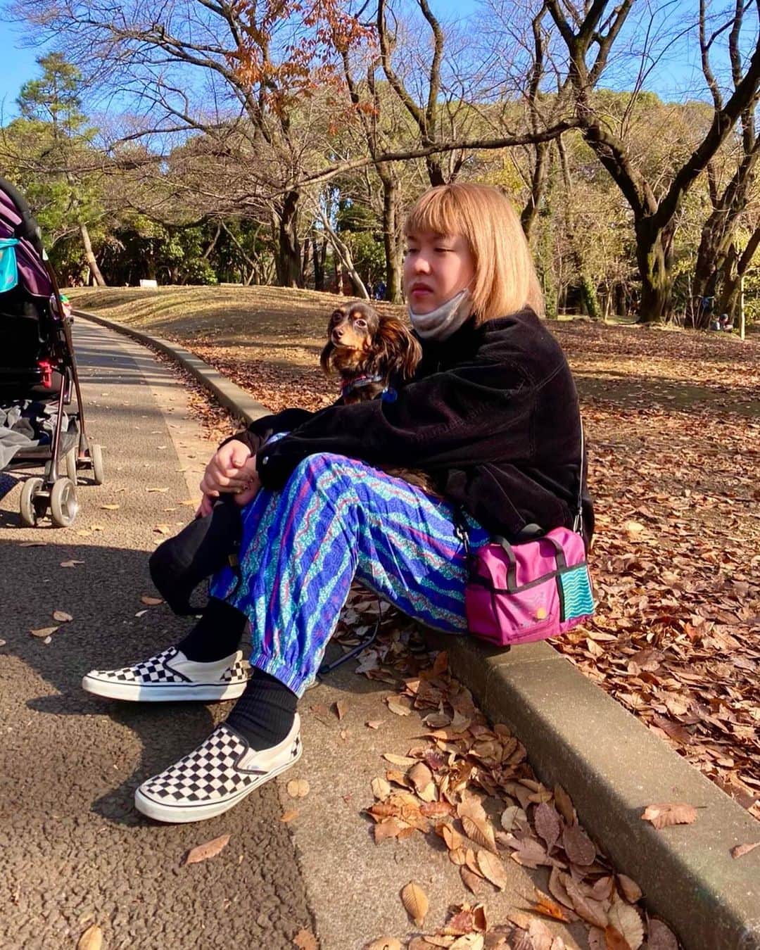 ぺえのインスタグラム：「長生きしてね🐕 #あたしが一番幸せな時間 #愛犬ロナウドのお散歩 #ロナとお散歩の途中で立ち止まって休憩 #ぼーっと何も考えずに黄昏ながら休んで #また歩き始める #自分たちのペースで目的地なんて決めずに #お散歩も人生もそのぐらいが私には丁度いい #明日のことなんて明日にならないと分からない #先のこと考えて不安になるなら考えなきゃいい #行き当たりばったりで生きても #考えすぎて生きても自分の運命は変わらない #深く考えすぎて上手くいくことなんてほぼ無い #高い目標なんて私にはいらない #自分の体が勝手に進む方向に歩けばいいの #誰かに憧れられる人になるよりも #自分の人生に納得できる人になりたい #高望みしたって楽しくない #等身大の自分で感謝の心だけは忘れずに #ロナウドが1月23日で4歳になりました #ギネスに載るぐらい長生きしてね #人間よりは短い人生かもしれないけど #私がロナの人生を濃くしてあげるからね #これからも一緒に色んな景色を見にいこうね #たくさん思い出つくろうね #愛してるよ  #ロナウドのお誕生日の動画も近々YouTubeにアップします #今日は私が厚化粧を落とす瞬間をYouTubeで初公開してるので見てください」