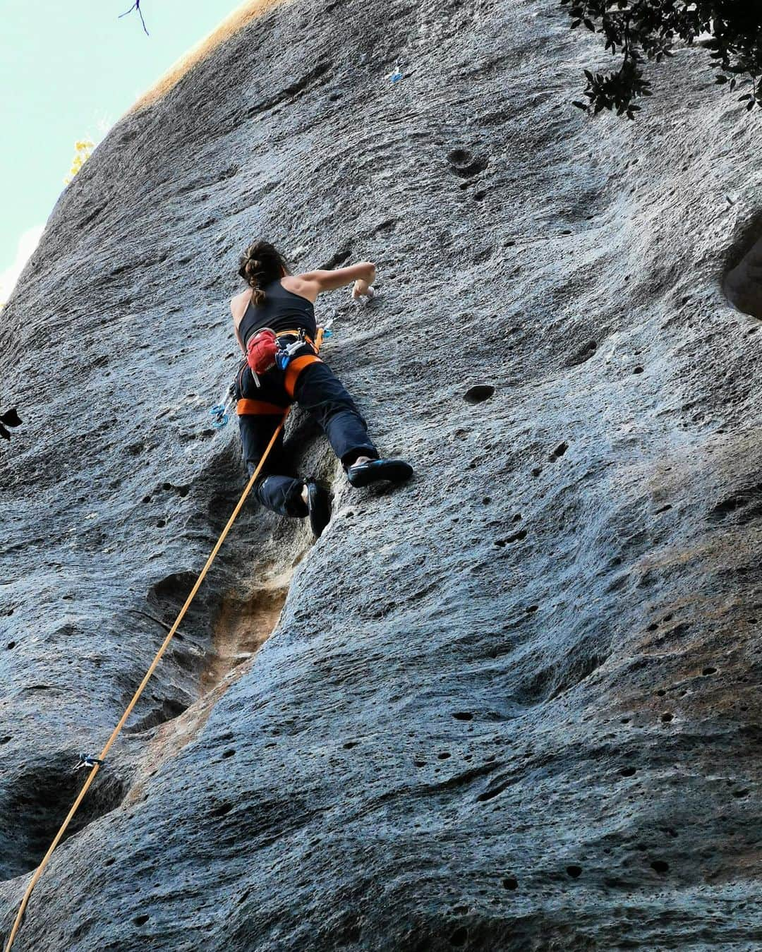 ニナ・カプレツのインスタグラム：「What a gift... After a complicated end of 2020 with some injuries on my left ankle and an appendicitis urgency, I was finally able to move on rocks again! I had the pleasure to share 2 weeks outdoors with the maestros Antoine and Marc LeMenestrel in Buoux. It felt soooo good... That place is simply gorgeous and the way I move on rocks feels more and more smooth the older I get. Maybe I got influenced by my climbing partners style! 😉 #antoinelemenestrel #marclemenestrel  #lovelife #outerpeace #rockclimbing #lovenature #scarpaspa   @arcteryx @petzl_official @scarpaspa @arkose.climbing」