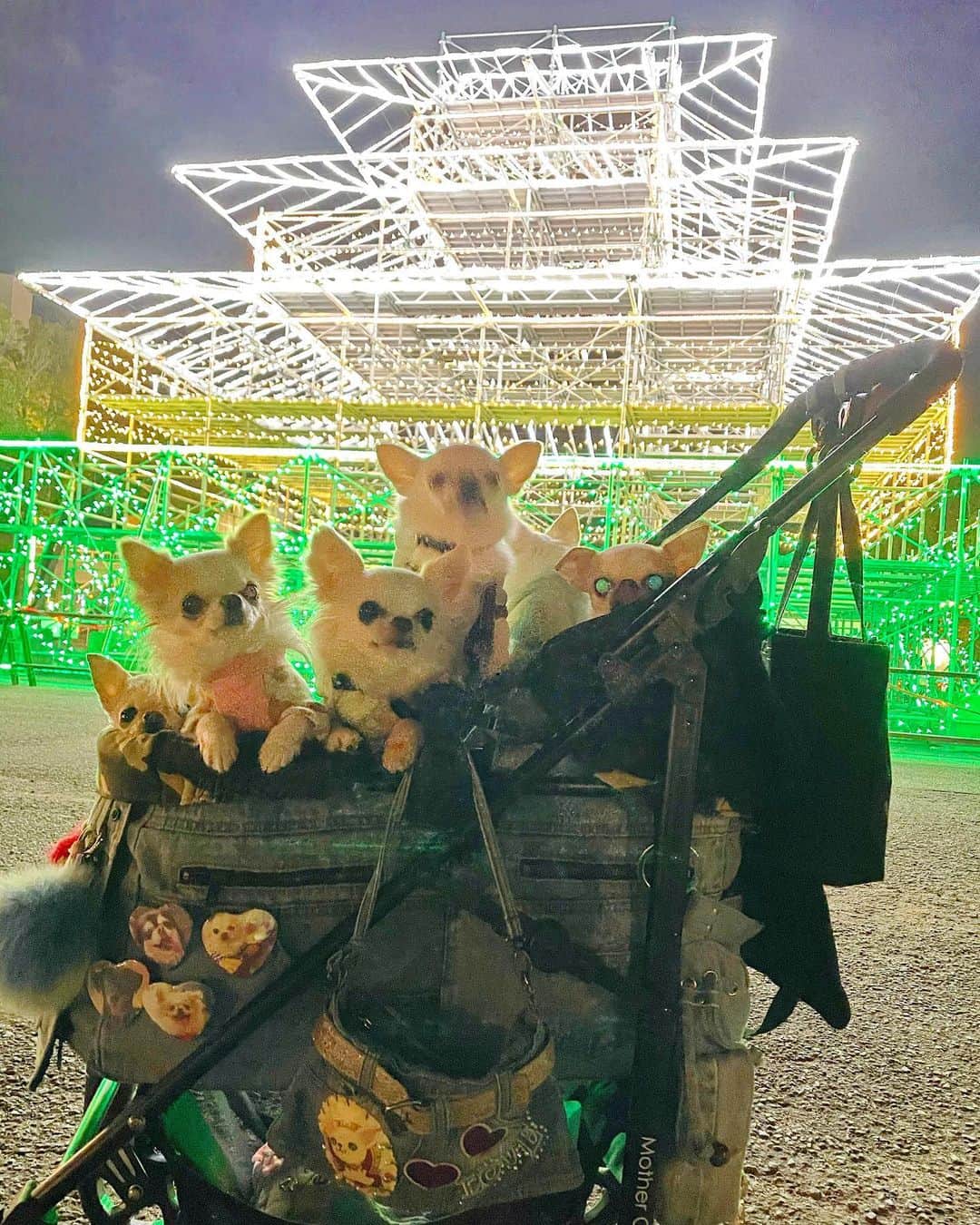 tetoyanyanのインスタグラム