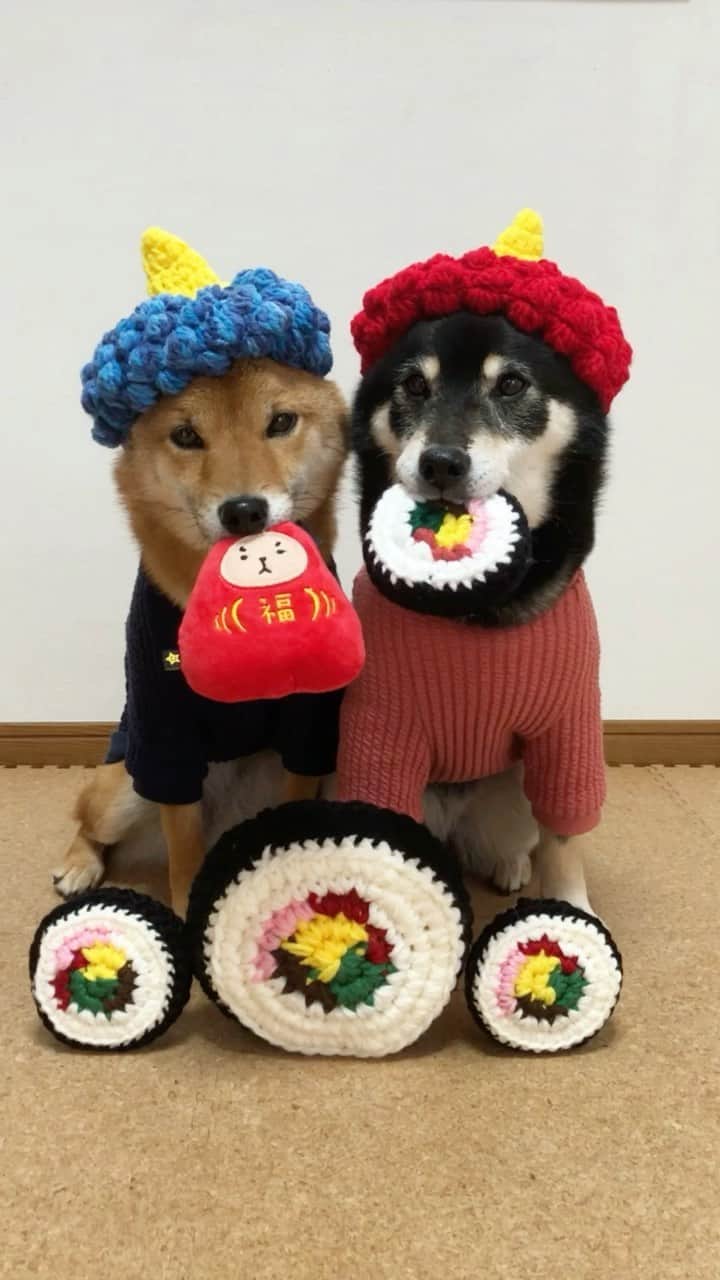 黒柴みくのインスタグラム