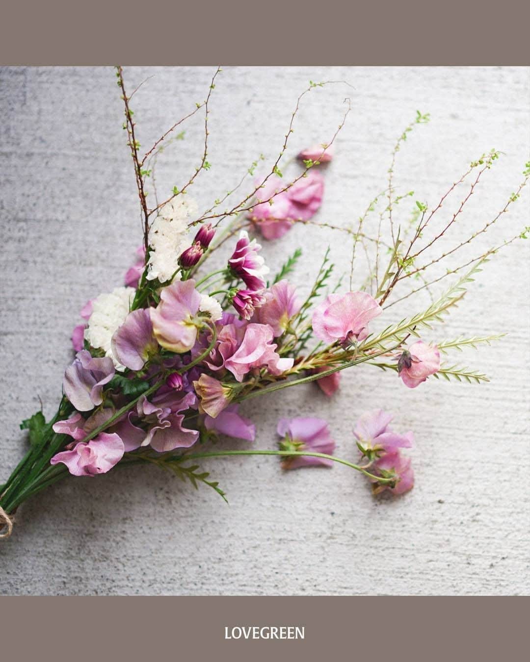 LOVEGREEN -植物と暮らしを豊かに。さんのインスタグラム写真 - (LOVEGREEN -植物と暮らしを豊かに。Instagram)「［前田有紀の一“花”言］  フラワーアーティストの前田有紀さん( @yukimaeda0117 )が、一家言ならぬ一“花”言と称して、その時期に気になる旬のお花や魅力、そして前田さんならではのアレンジ術などお届けしています。  vol.69は「ユキヤナギ」をご紹介！  ブーケに入れたり、そのまま飾ったりと、大活躍の枝ものです。 外はまだまだ寒いですが、ユキヤナギを飾ってお部屋の中で一足先に春の訪れを楽しんでみませんか。  詳しくはプロフィール( @lovegreen_official )のURLよりチェック 「一花言」から見てみてくださいね！  #春 #フラワーアーティスト #フラワーアレンジ #フラワーアレンジメント #flower #flowers #ユキヤナギ #ブーケ #公園 #草花 #植物 #植物のある暮らし #植物と暮らす #植物が好き #花 #花が好き #花のある暮らし #花と暮らす #枝物 #LOVEGREENストア #植物と暮らしを豊かに #シンプルライフ #ライフスタイル #暮らし #園芸 #ガーデニング #花束 #花瓶 #一輪挿し #季節の花」1月30日 21時00分 - lovegreen_official