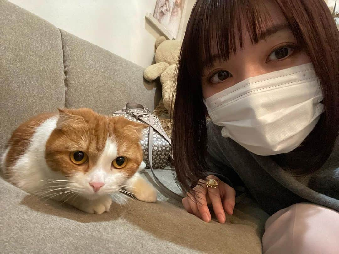 駒田京伽のインスタグラム：「✨🐈✨  こんにちはあつこ🐈  髪暗くしました🌷  少しピンク入ってて可愛い🐈✨  そして高級食パンまで 頂いてしまった🙇‍♂️🍞 いつもありがとうございます🙇‍♂️ @rentheskywalker   あつこだとおもって 大切に食べます🐈  #美容師#福岡＃猫#厚揚げ #あつこ#ヨーグルッペ同盟」