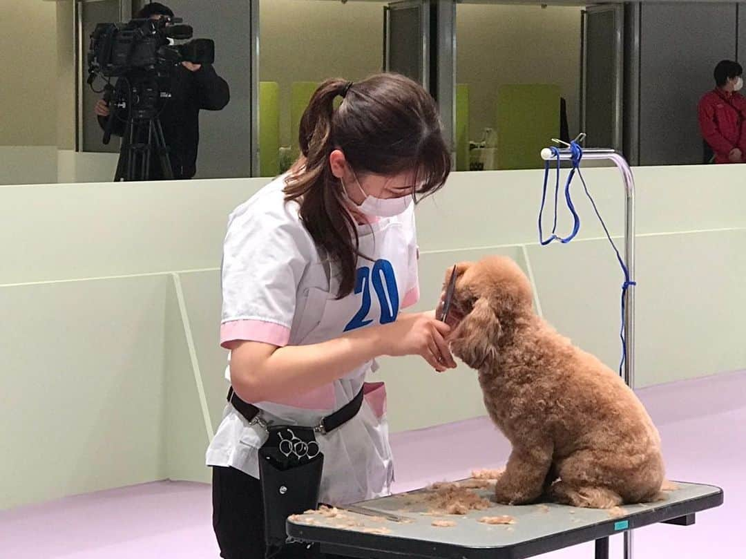 大阪ECO動物海洋専門学校のインスタグラム