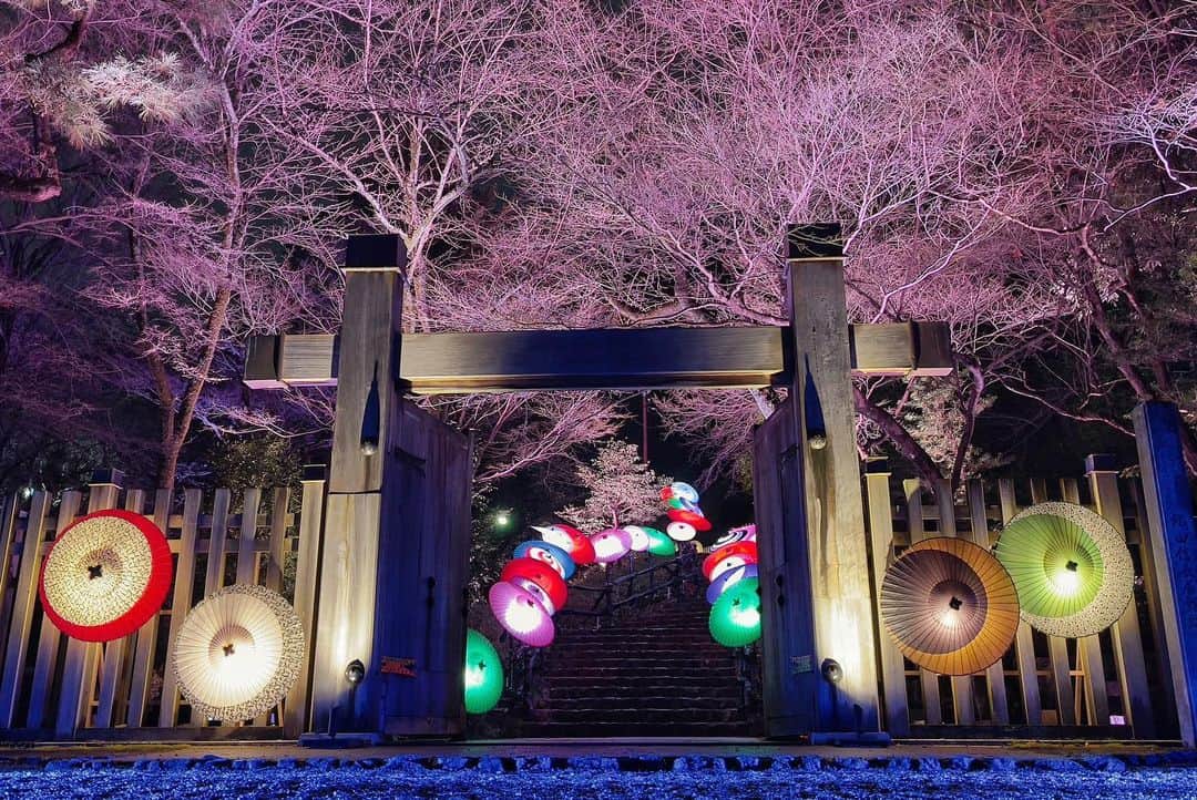 JAPANさんのインスタグラム写真 - (JAPANInstagram)「Gifu castle garden / iphone 12 pro max long exposure #ぎふ灯り物語 @gifunightview #岐阜#岐阜県#岐阜市#岐阜公園 ＃岐阜城」1月30日 21時19分 - japan_gram