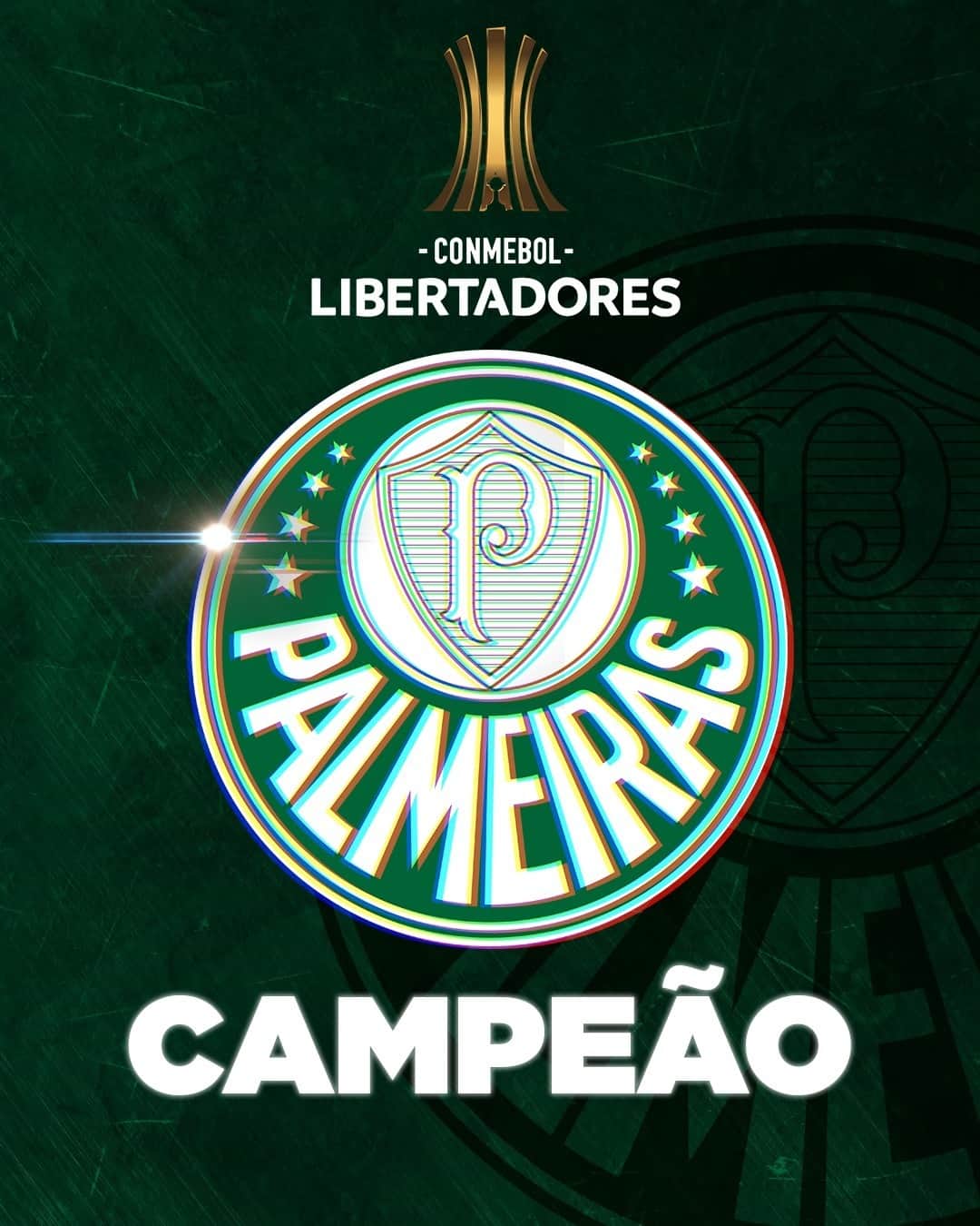 サッカー ブラジル代表チームさんのインスタグラム写真 - (サッカー ブラジル代表チームInstagram)「Parabéns ao #Palmeiras pelo título da #Libertadores! 🏆🇧🇷⚽」1月31日 7時05分 - cbf_futebol
