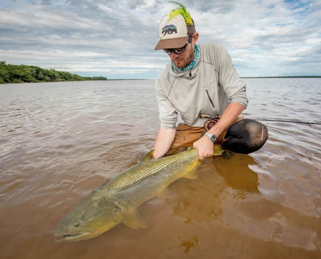 Costa Sunglassesのインスタグラム：「Paraná prize. 📷: @theflyfishingnation @suindalodge @nervous_waters⁣ #SeeWhatsOutThere」