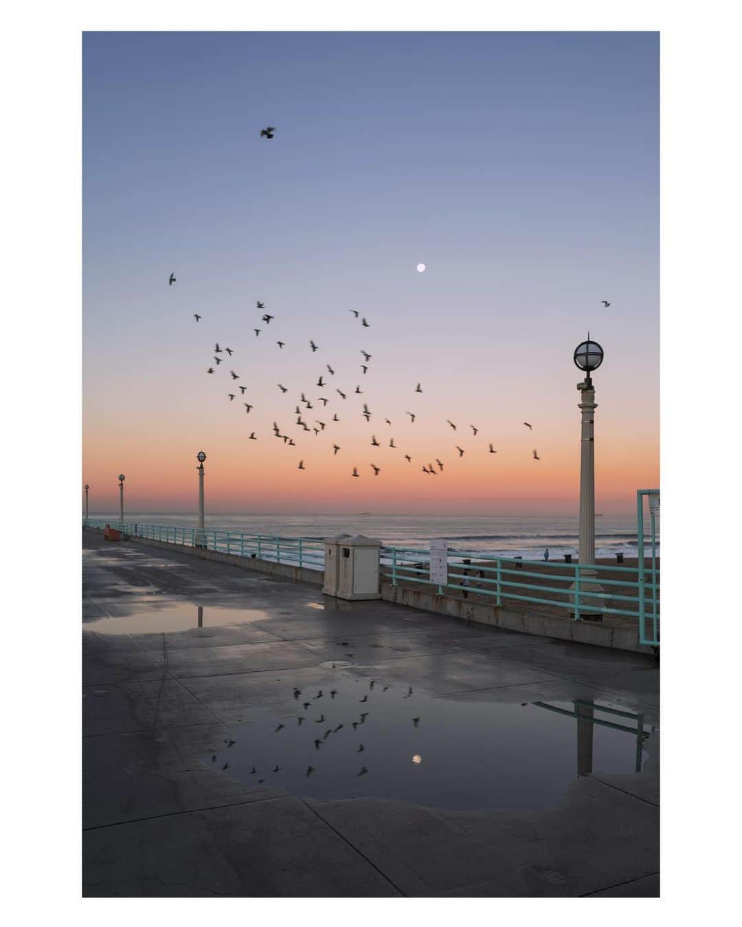 Pete Halvorsenのインスタグラム：「Early birds on the south side.   👉🏻swipe」