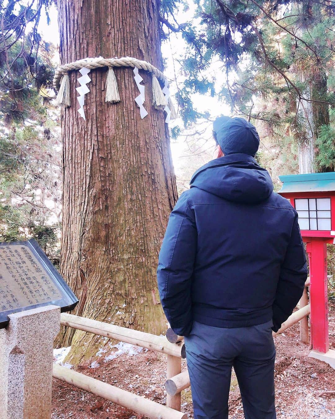 高木悠暉のインスタグラム：「お初の高尾山。  この大きな杉並木のように強い人間でありたい。  #高尾山 #高尾山薬王院 #杉並木 #樹齢1000年 #天然記念物」