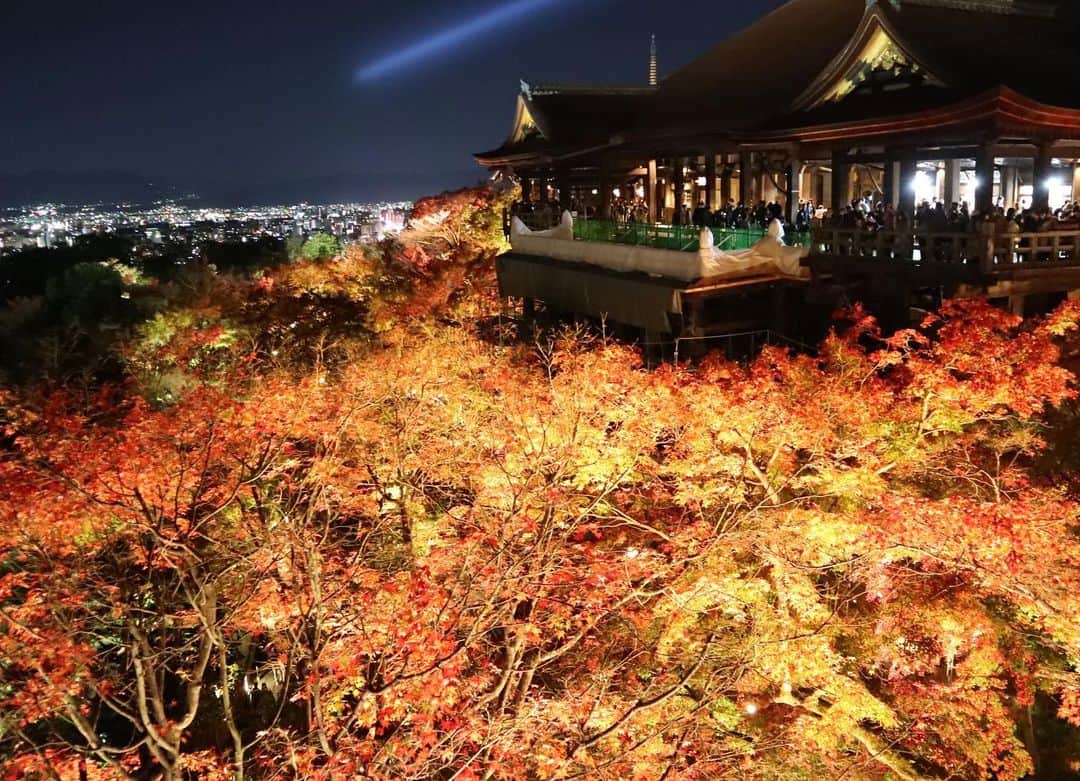 肥田佳菜子さんのインスタグラム写真 - (肥田佳菜子Instagram)「京都旅行part1🍁 #京都 #京都旅行 #京都観光 #旅行 #家族旅行 #紅葉 #紅葉狩り #紅葉ライトアップ #京都紅葉 #紅葉スポット #お寺巡り #清水寺 #清水寺ライトアップ  #三千院 #宝泉院 #詩仙堂 #狸谷山不動院 #一眼レフ #一眼レフカメラ」1月30日 23時22分 - hdknk87