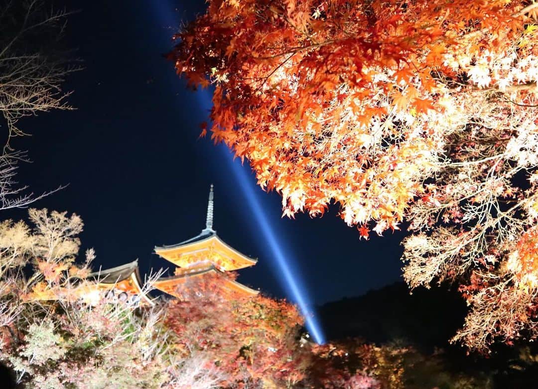 肥田佳菜子さんのインスタグラム写真 - (肥田佳菜子Instagram)「京都旅行part1🍁 #京都 #京都旅行 #京都観光 #旅行 #家族旅行 #紅葉 #紅葉狩り #紅葉ライトアップ #京都紅葉 #紅葉スポット #お寺巡り #清水寺 #清水寺ライトアップ  #三千院 #宝泉院 #詩仙堂 #狸谷山不動院 #一眼レフ #一眼レフカメラ」1月30日 23時22分 - hdknk87