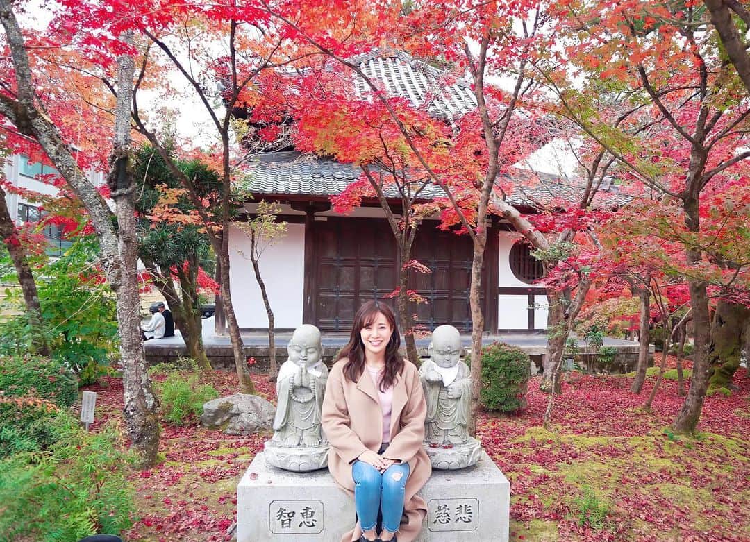 肥田佳菜子さんのインスタグラム写真 - (肥田佳菜子Instagram)「京都旅行part1🍁 #京都 #京都旅行 #京都観光 #旅行 #家族旅行 #紅葉 #紅葉狩り #紅葉ライトアップ #京都紅葉 #紅葉スポット #お寺巡り #清水寺 #清水寺ライトアップ  #三千院 #宝泉院 #詩仙堂 #狸谷山不動院 #一眼レフ #一眼レフカメラ」1月30日 23時22分 - hdknk87