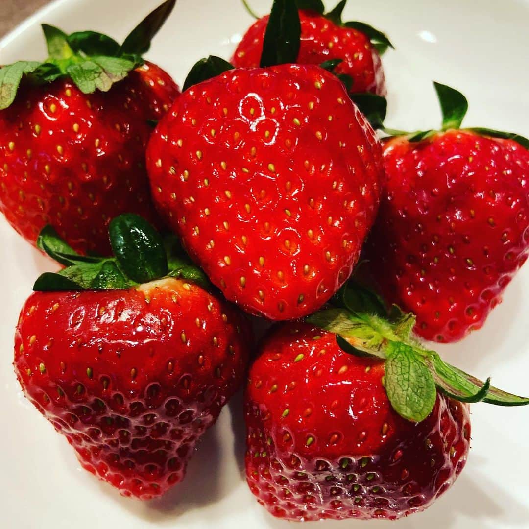 のインスタグラム：「福島から苺がやって来たっ！！ 👱🏽‍♂️💙🍓🍓🍓 お母さん、ありがとう！ 👱🏽‍♂️🍓🍓🍓🙏🏽  東京と福島をベースにして 仕事が出来たら最高だなーと考えている最近の僕ですっ🤔  福島のメディア、 エンタメ関係の皆様、  専門学校等の関係者さま、 スタイリストやPRを必要としている企業さま など、 ご連絡、ご紹介頂けたら嬉しいでっす！！ 👱🏽‍♂️🔥🔥🔥🙏🏽  #tokyo #japan #fashion #beauty #ファッション #スタイリスト #PR #ファッションディレクター #小林ディスカス #福島 #東京 #works #仕事」