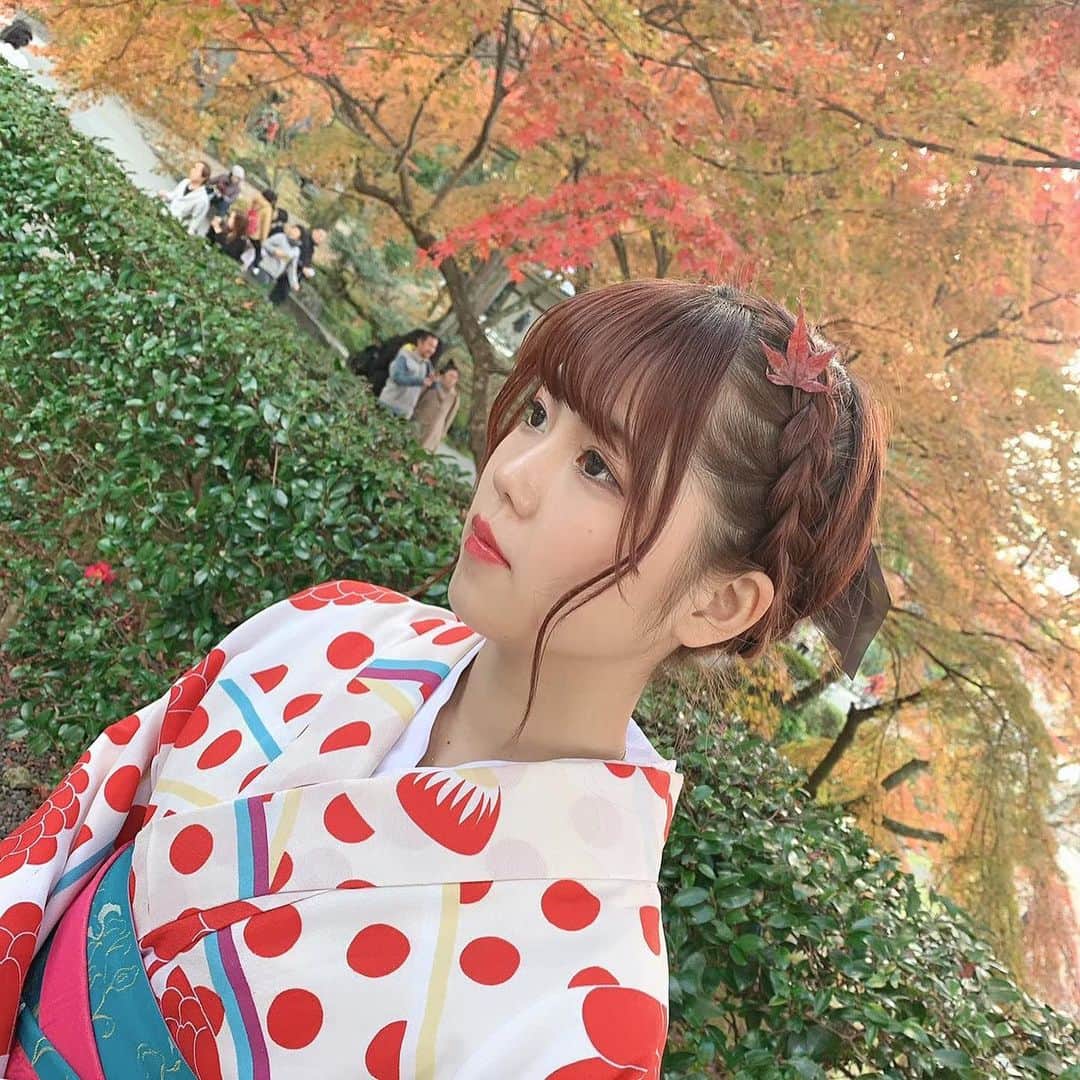 MANA（宮本茉奈）のインスタグラム：「せっかくの土曜日やし、彼女風photo投稿 ◡̈﻿ ﻿ 投稿とは裏腹に本日はもっぱら﻿ 読書な１日でした📚﻿ ﻿ みんなはどんな土曜日過ごしたの？﻿ ﻿ #どう見ても #懐古pic #過去pic﻿ #京都 #京都散策 #着物 #浴衣 #京都観光スポット #京都旅」