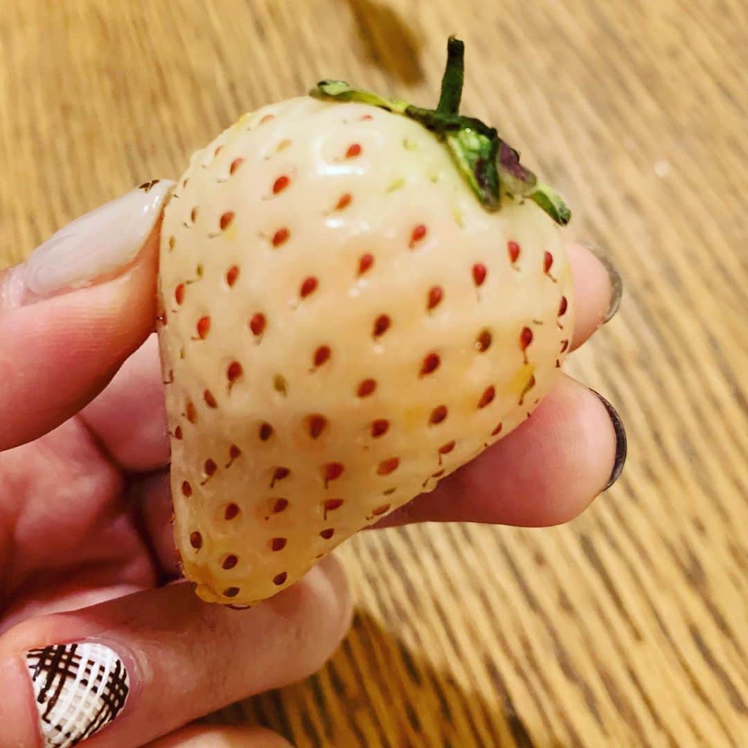 浜口順子さんのインスタグラム写真 - (浜口順子Instagram)「白い苺🤍 初めていただきました。 ドキドキしながら… 適度な甘さで美味しかったです🤍  いや　なんの報告w」1月30日 23時55分 - hamaguchijunko