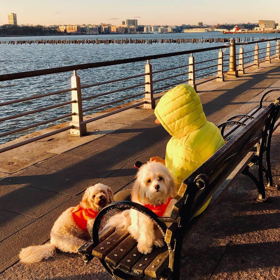 ポール・ブラックソーンさんのインスタグラム写真 - (ポール・ブラックソーンInstagram)「NYC Winter.」1月31日 0時05分 - paulblackthorne