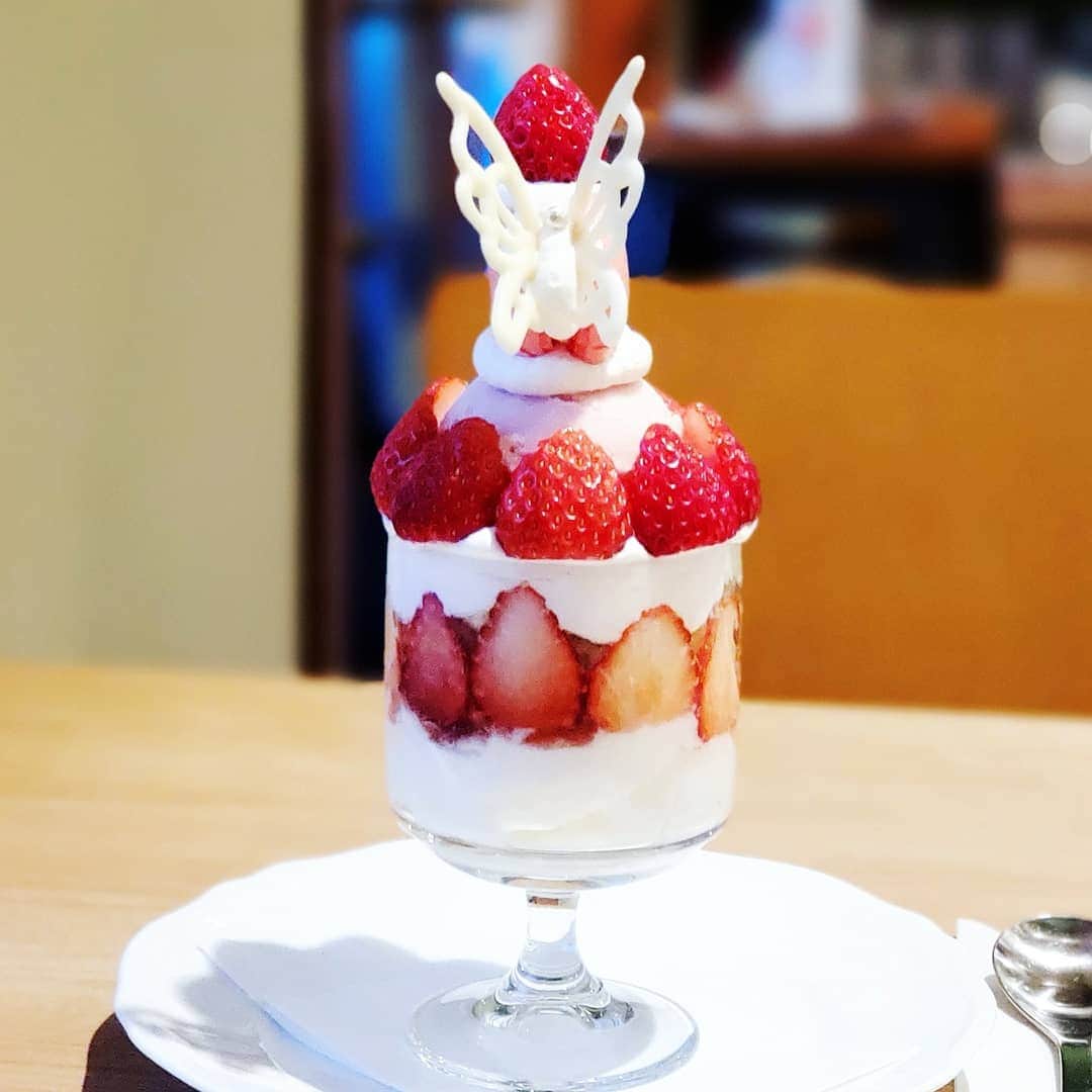 ミスター黒猫（黒猫仙人）のグルメインスタ