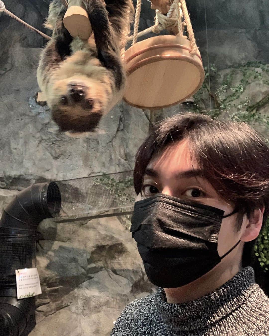 チェ・ソンジュンのインスタグラム：「🦥 #소원성취」