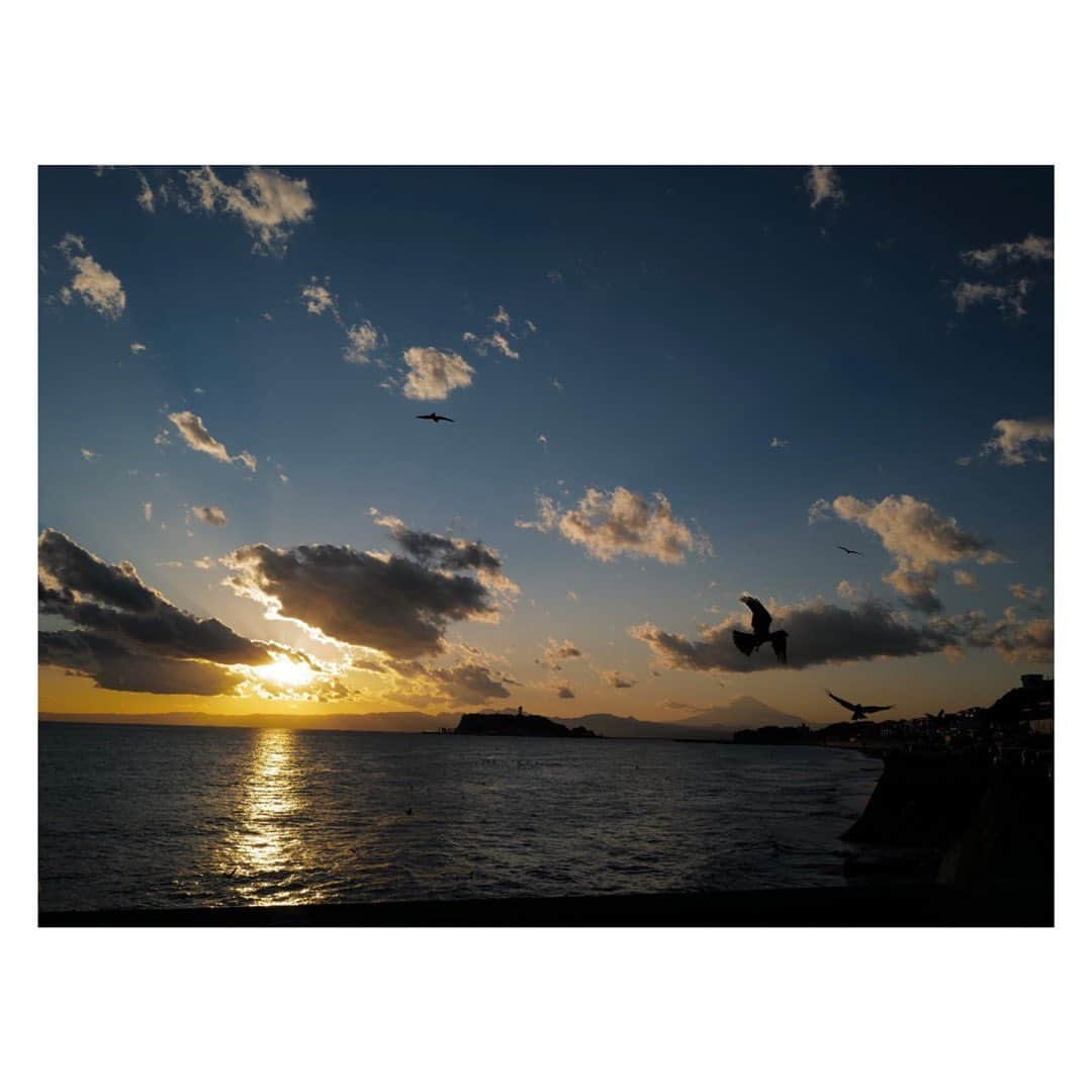 土井地恵理子さんのインスタグラム写真 - (土井地恵理子Instagram)「power charge.  @pacificdrivein で売ってる ナカムラジェネラルストアのスコーン。 日本で食べれるのは嬉しい！ (ハワイで有名なやつ)  海見るとやたら元気になるので 前世は海の近くの人だったのだと 思っている。笑  #pacificdrivein #nakamurageneralstore」1月31日 1時25分 - ericodoiji